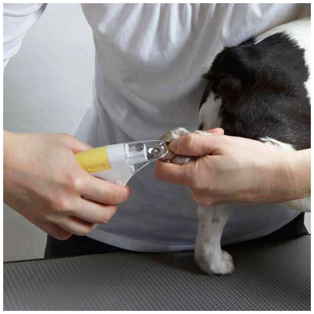 Product DGCC838701 photo 2