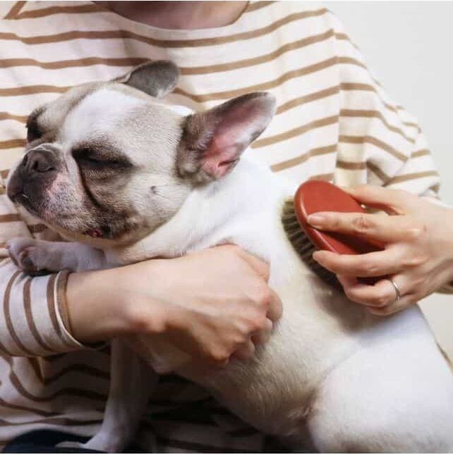 Product DGFB836806 photo 11