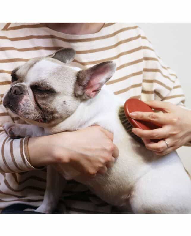 Product DGFB836806 photo 6