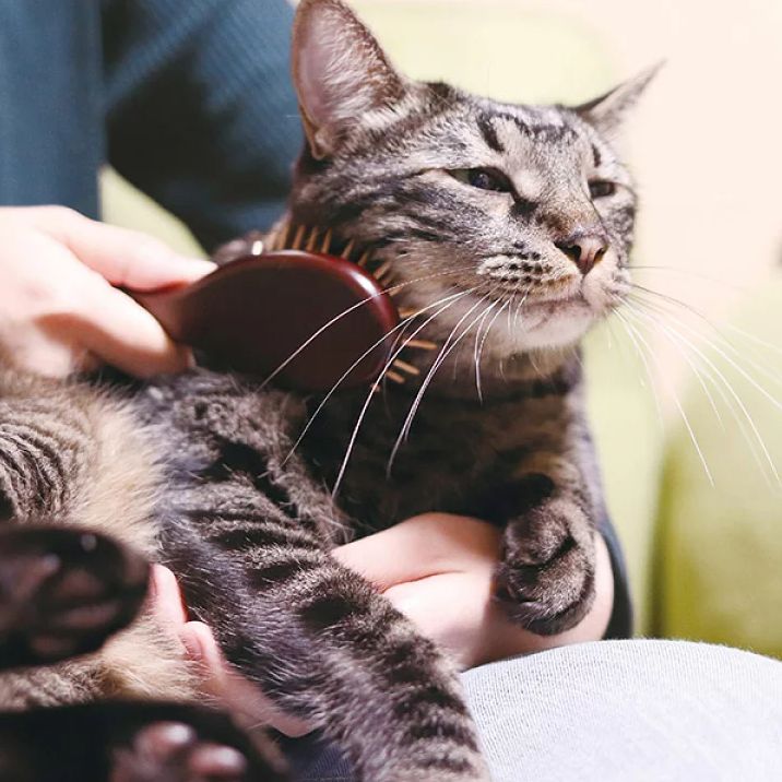 Produkt DGFC836905 Bild 7