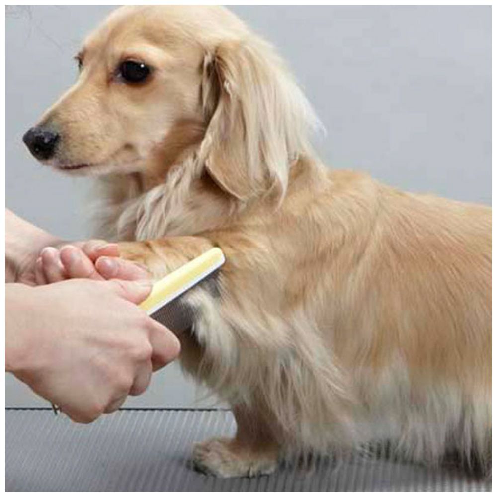 Product DGFC838695 photo 2