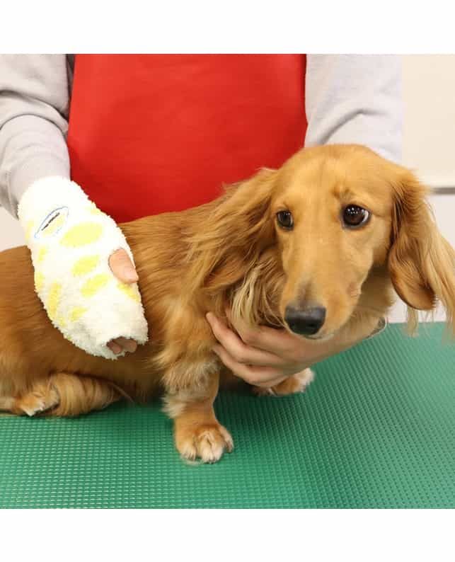 Produkt DGFM834833 Bild 5