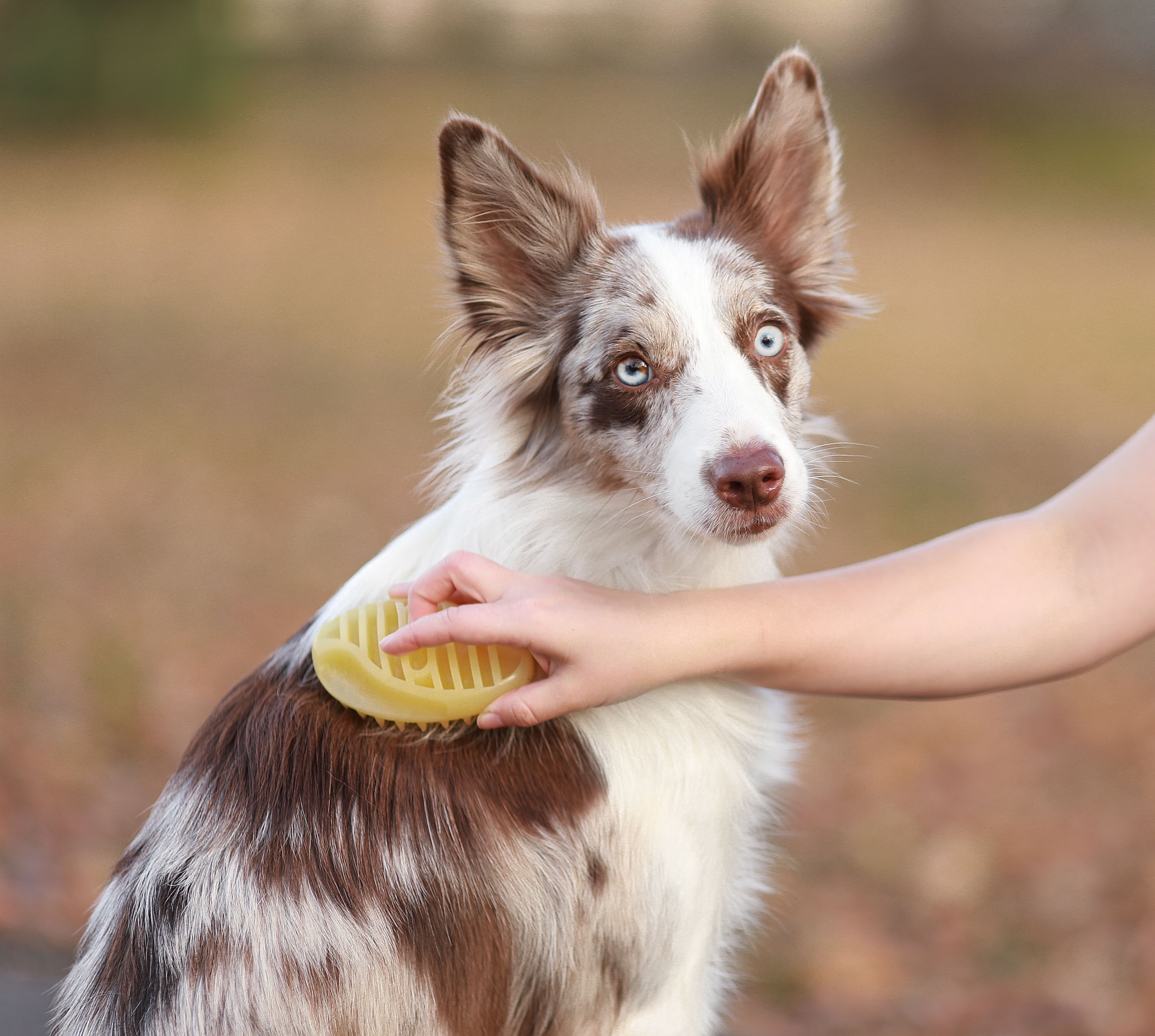 Produkt DGFS838794 Bild 10