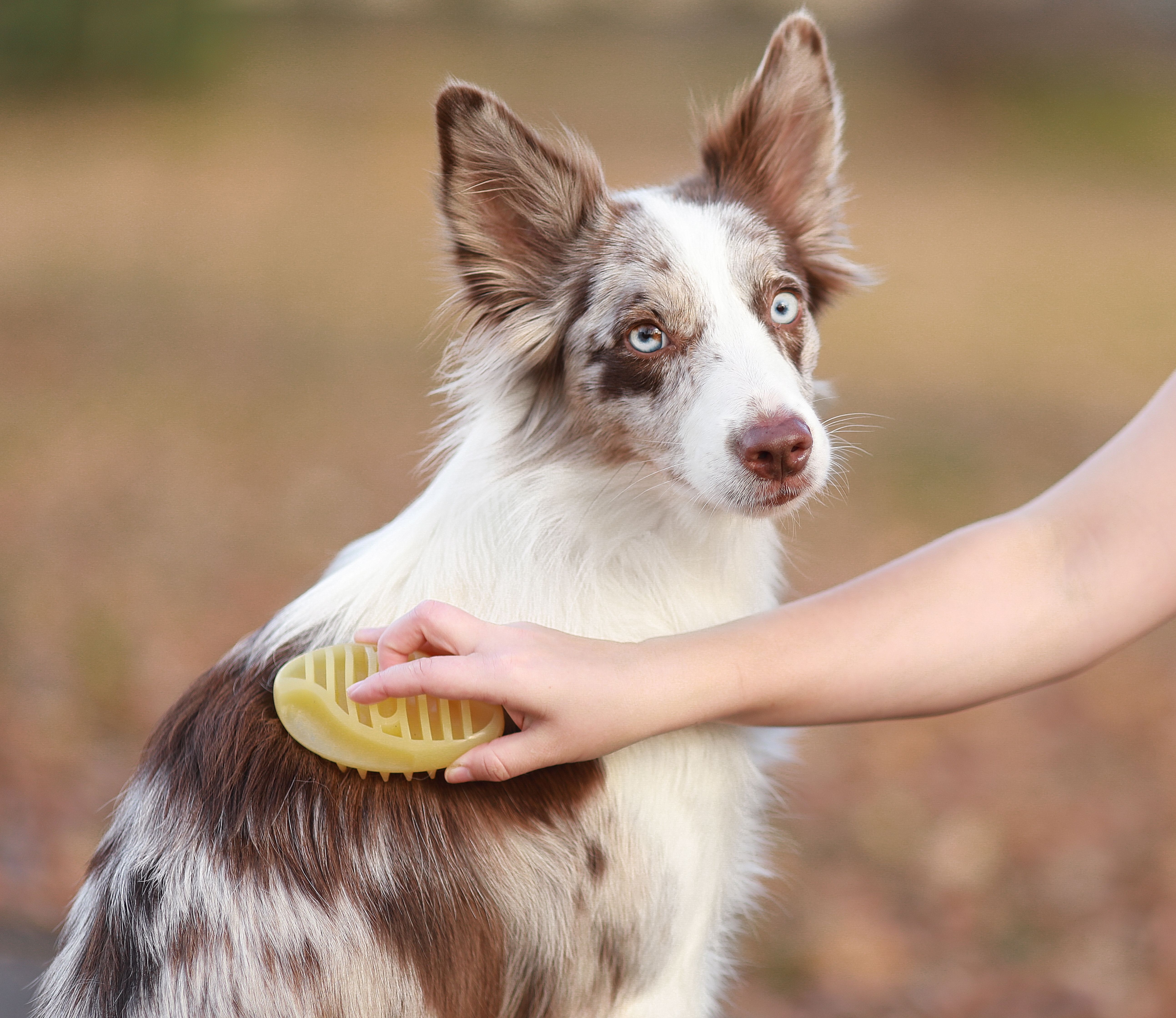 Produkt DGFS838794 Bild 11