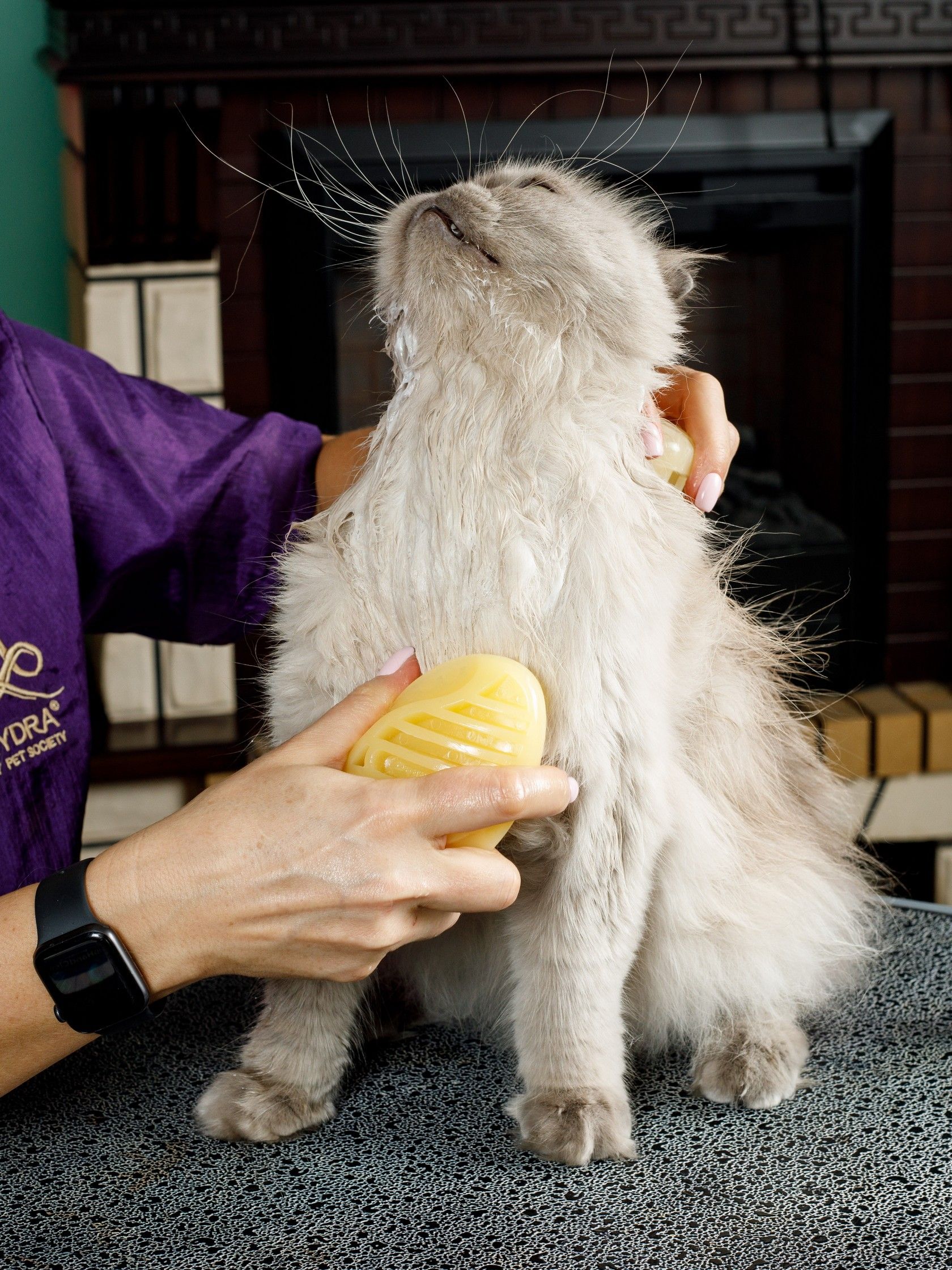 Produkt DGFS838794 Bild 2