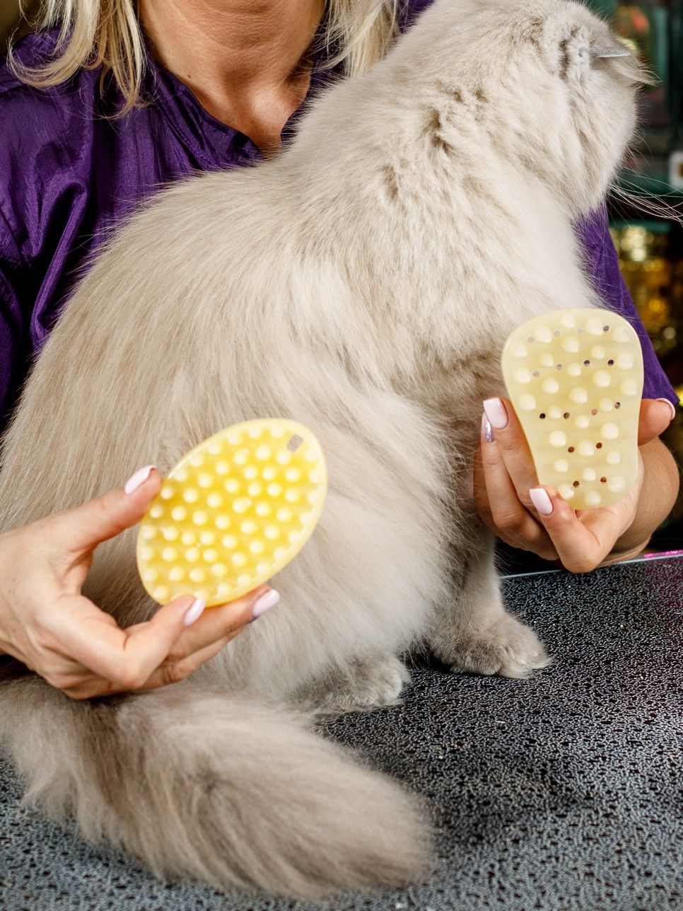 Produkt DGFS838794 Bild 3