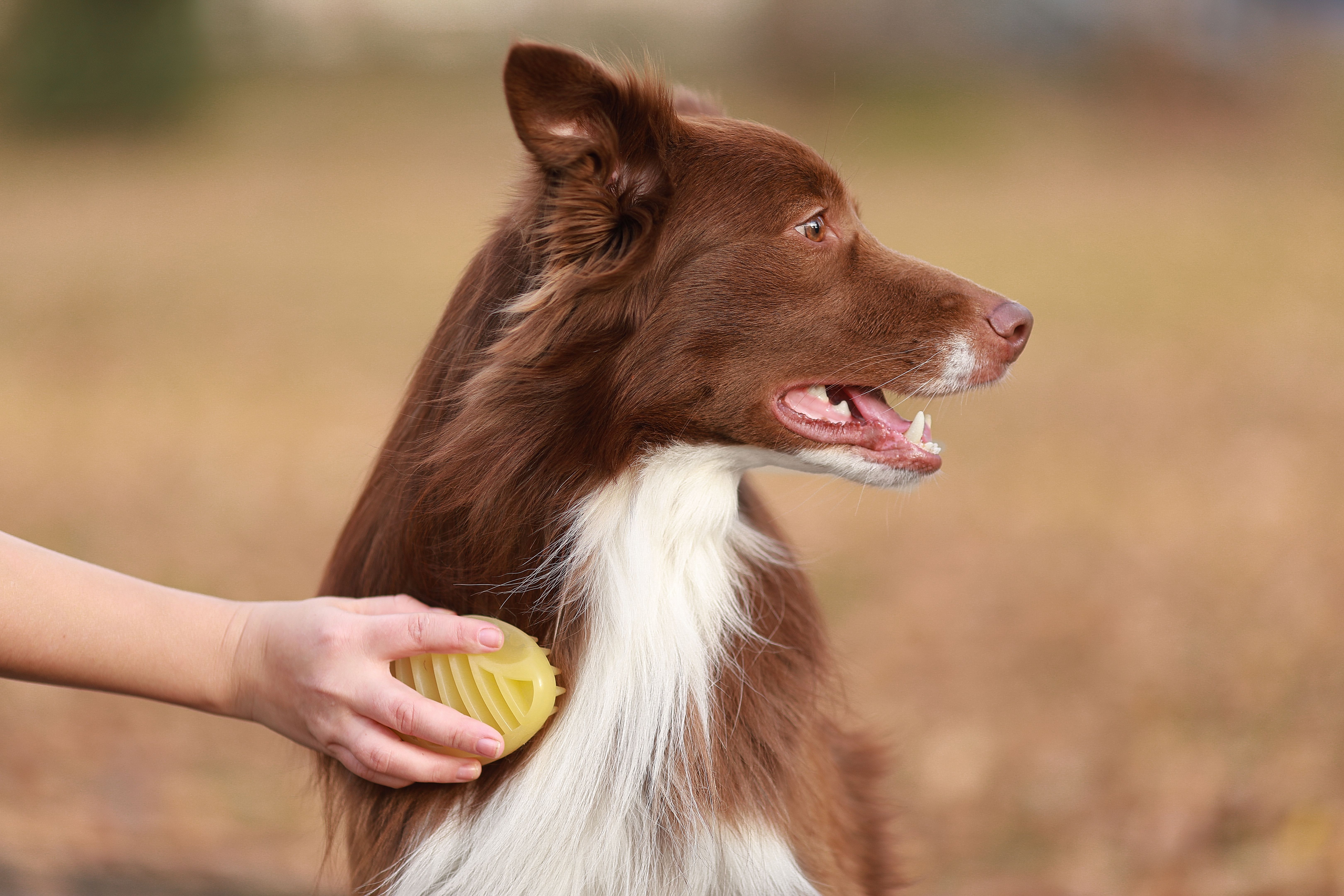 Produkt DGFS838794 Bild 9