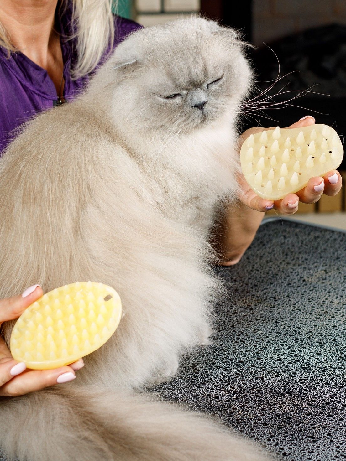 Produkt DGFS838800 Bild 2