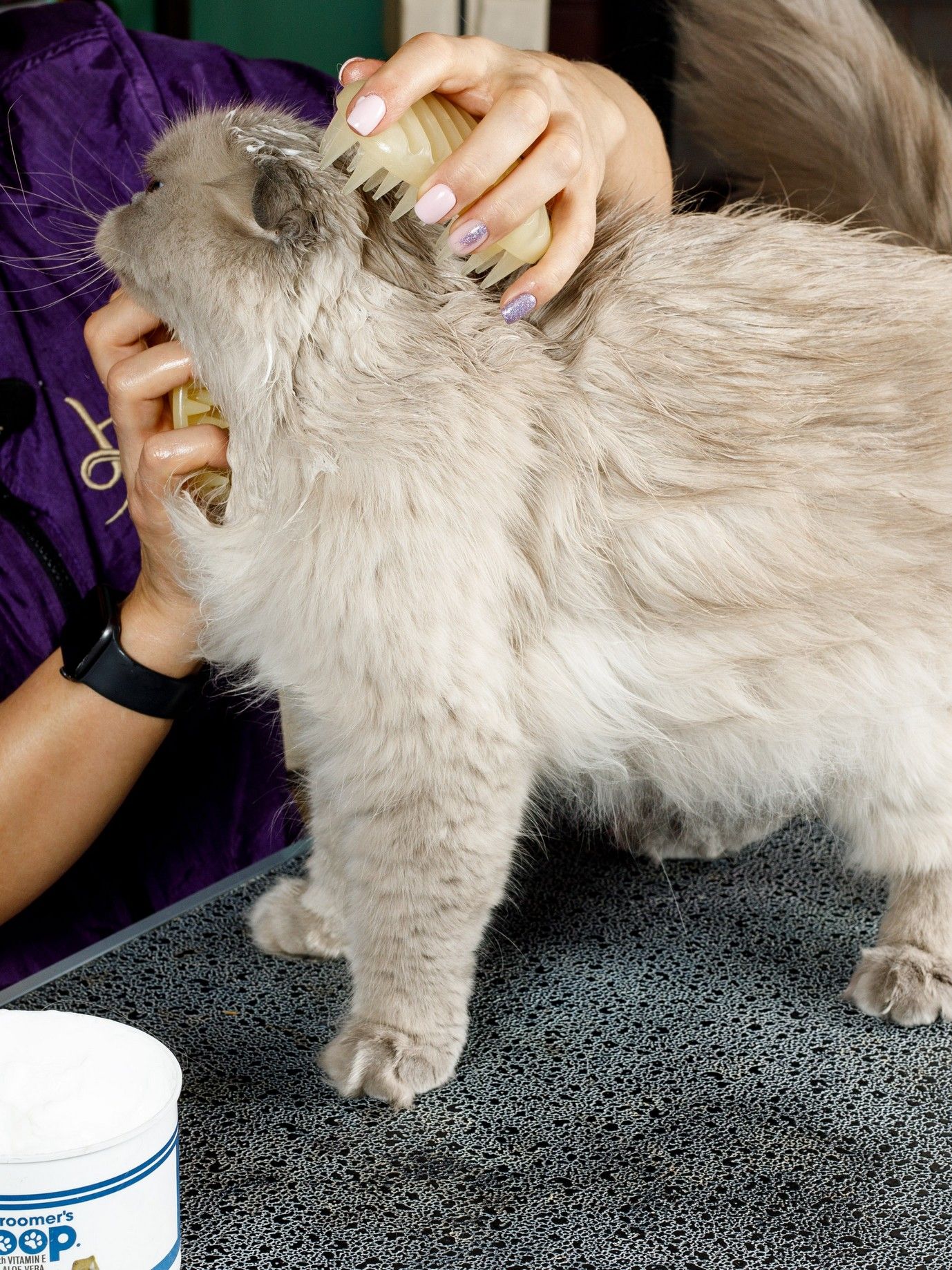 Produkt DGFS838800 Bild 3