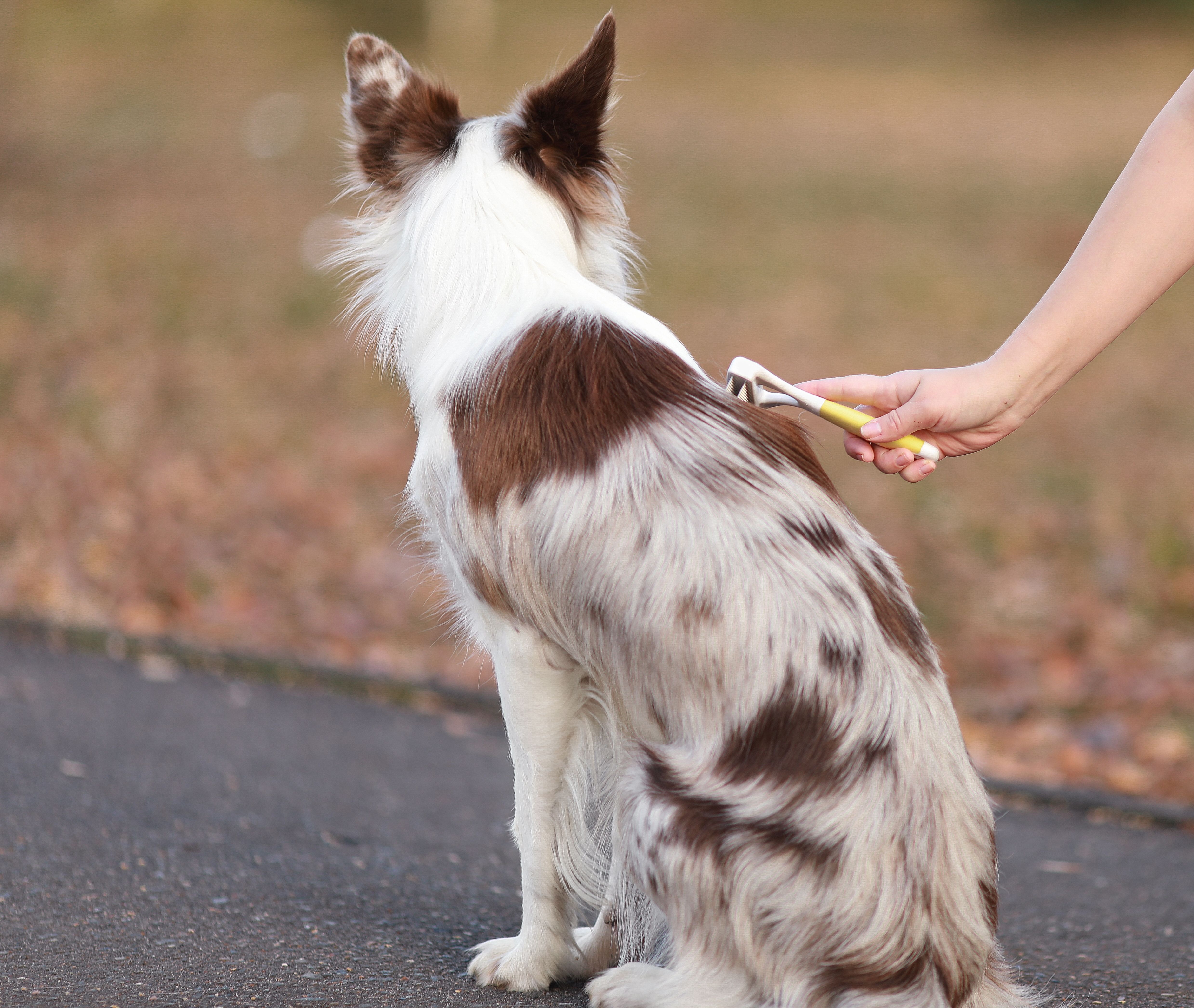 Produkt DGFT838848 Bild 10