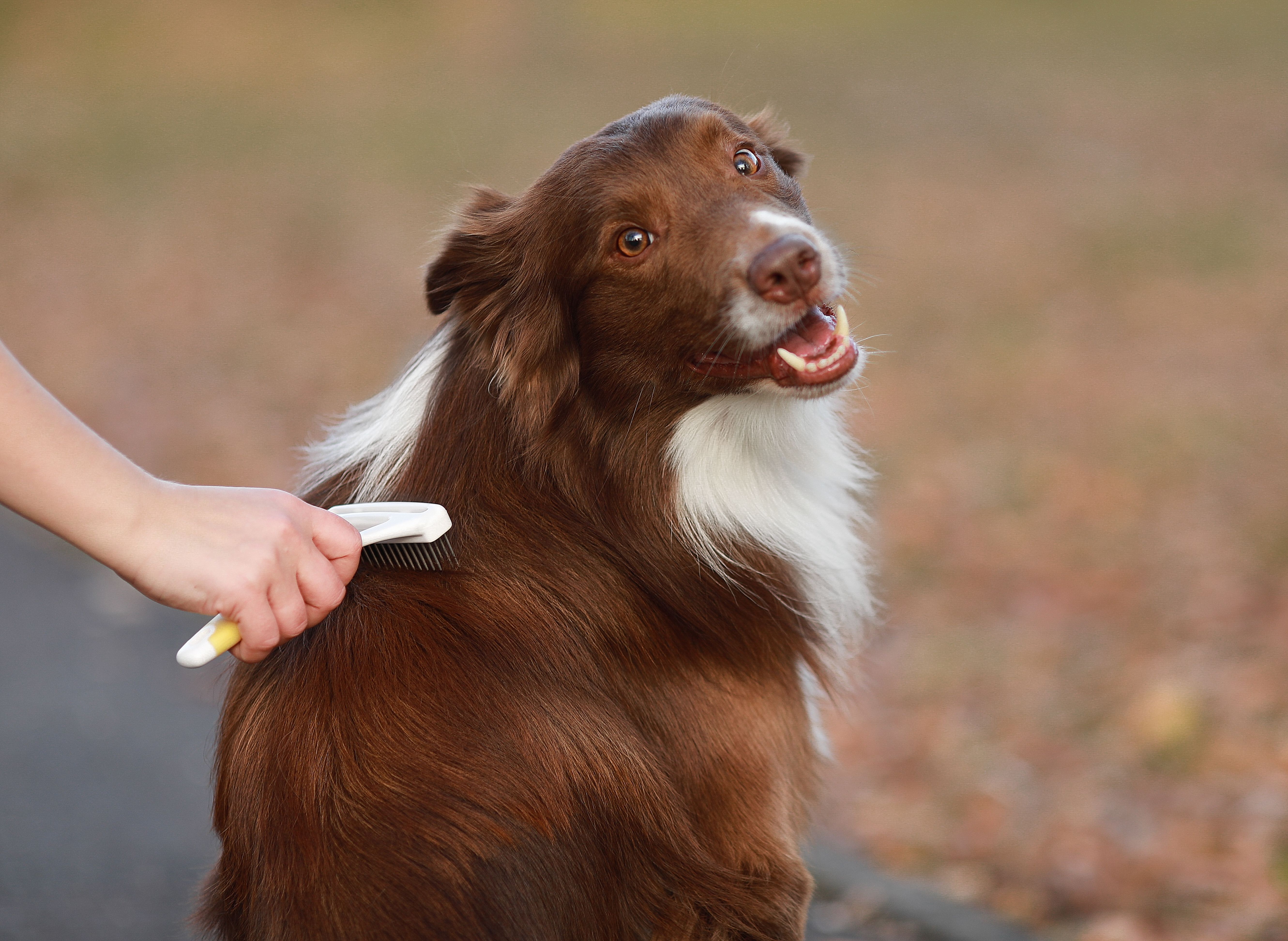 Produkt DGFT838848 Bild 6