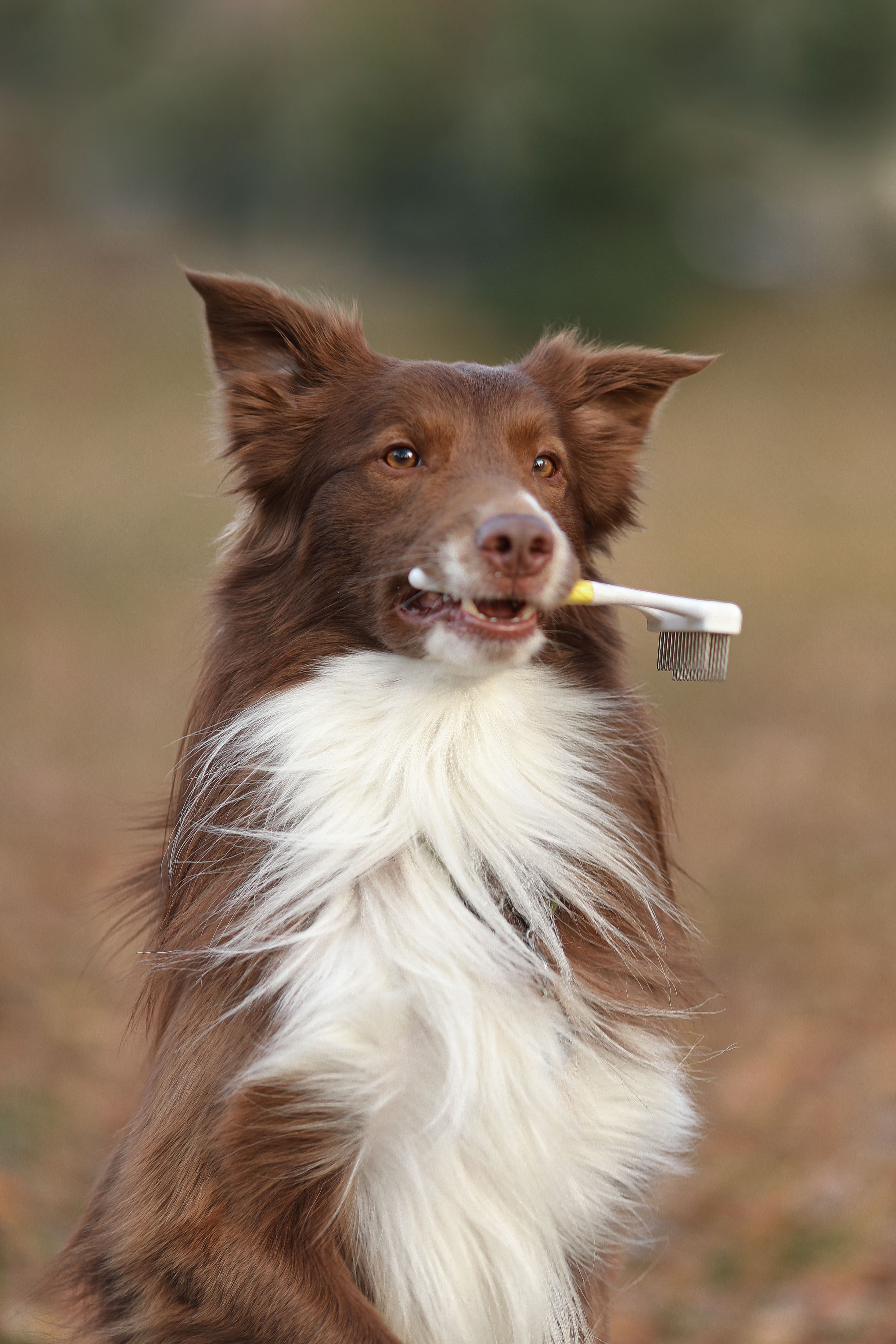 Produkt DGFT838848 Bild 7