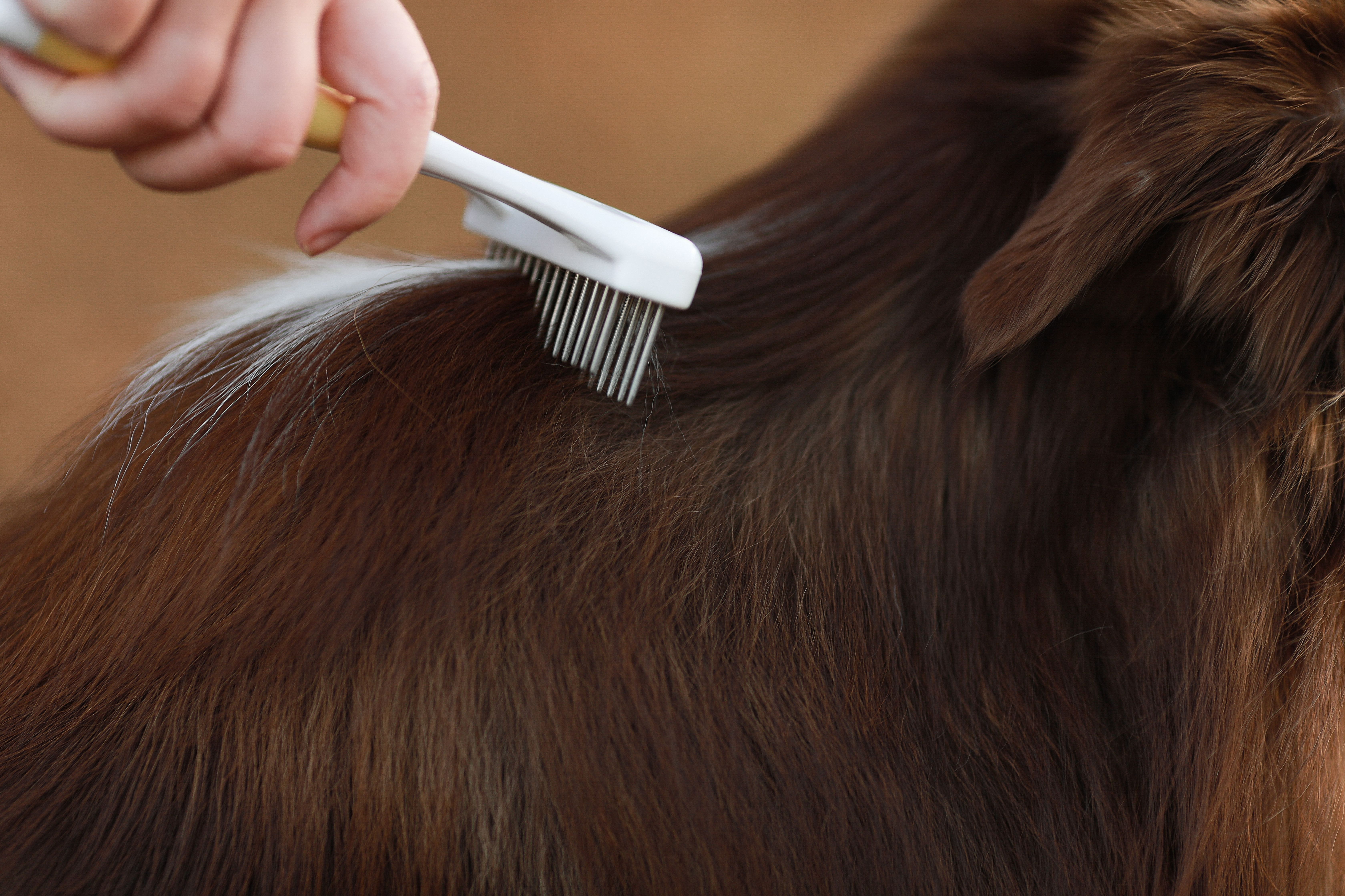 Produkt DGFT838848 Bild 8