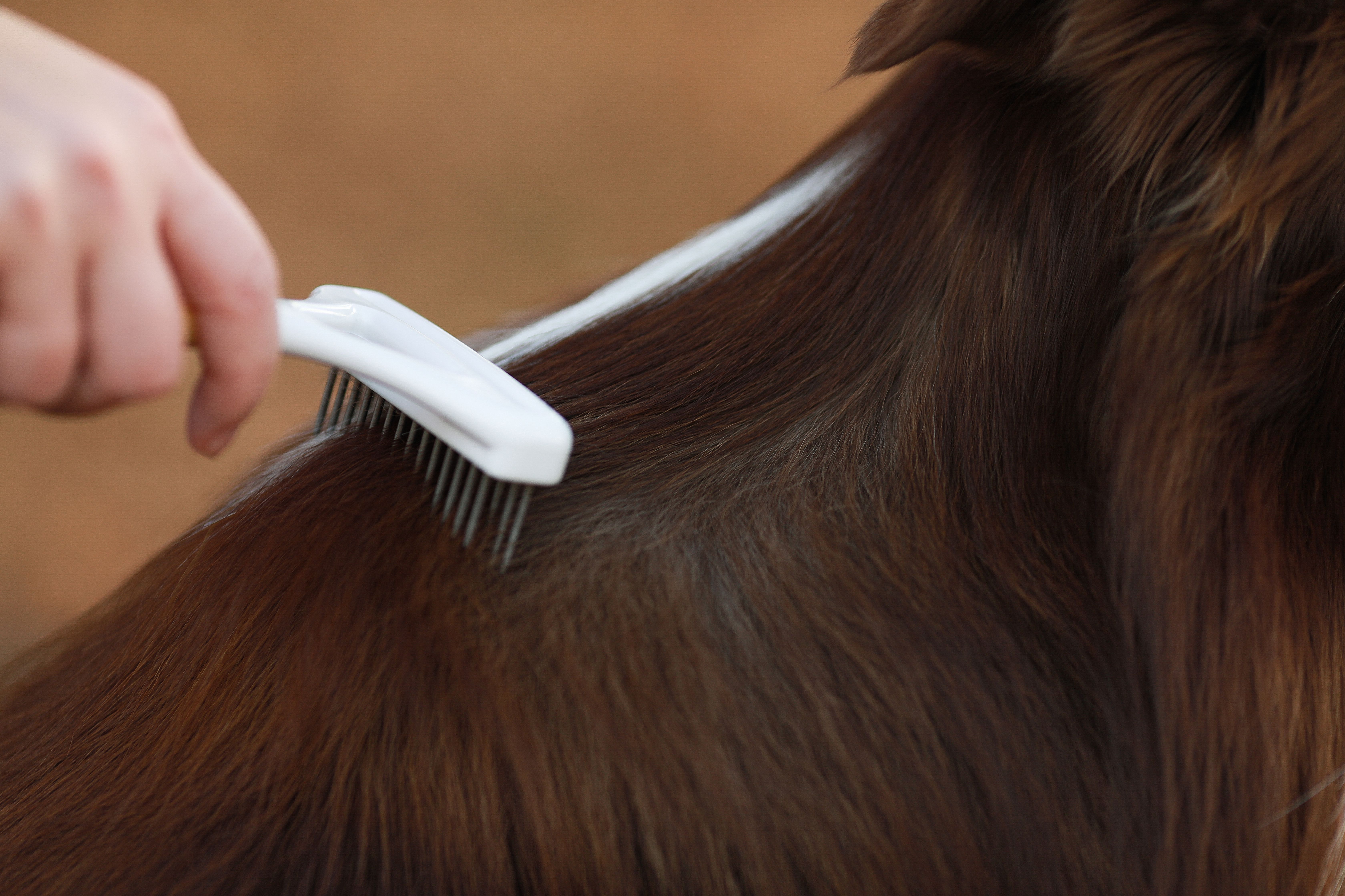 Produkt DGFT838848 Bild 9