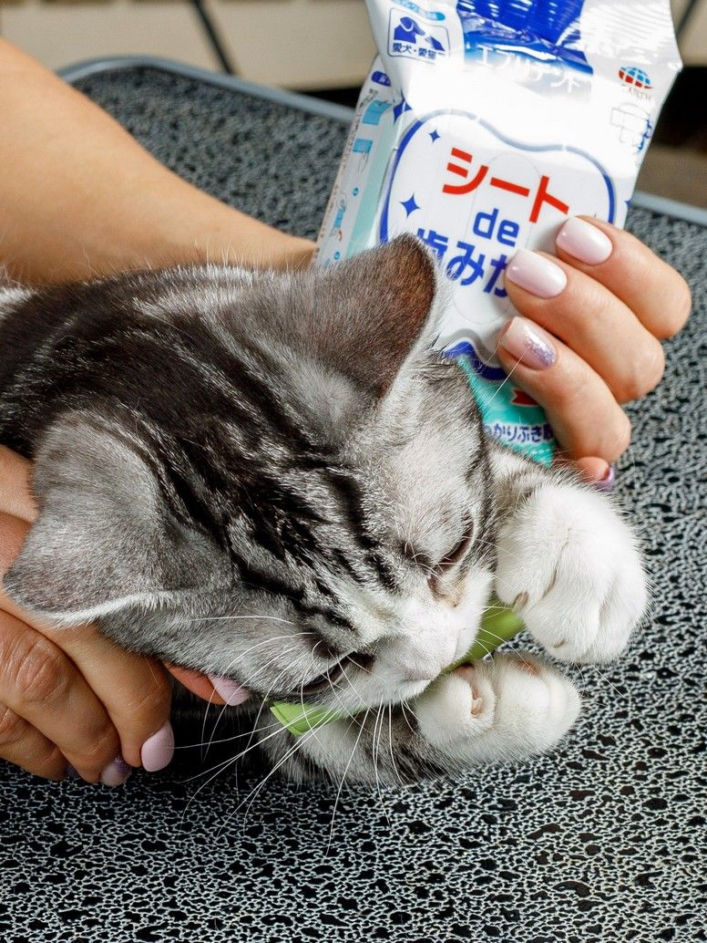 Produkt DHCD909105 Bild 2