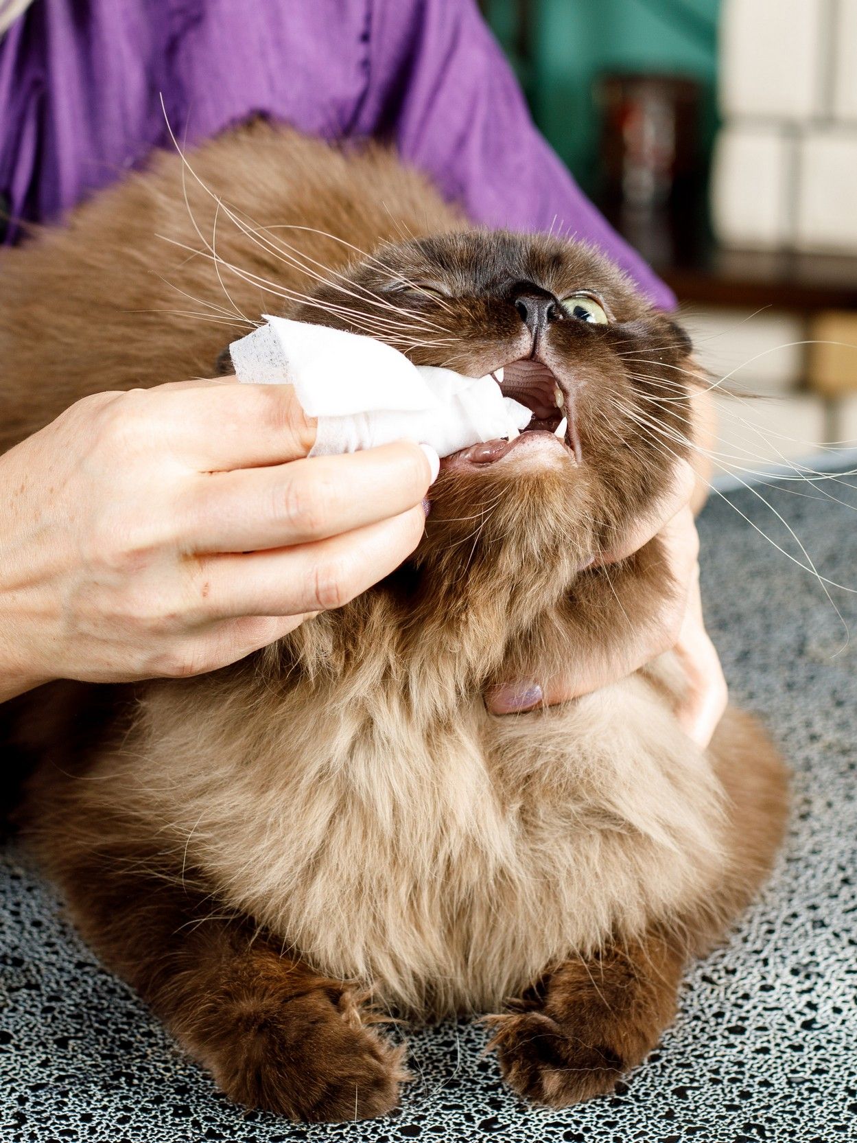 Produkt DHCD909105 Bild 8