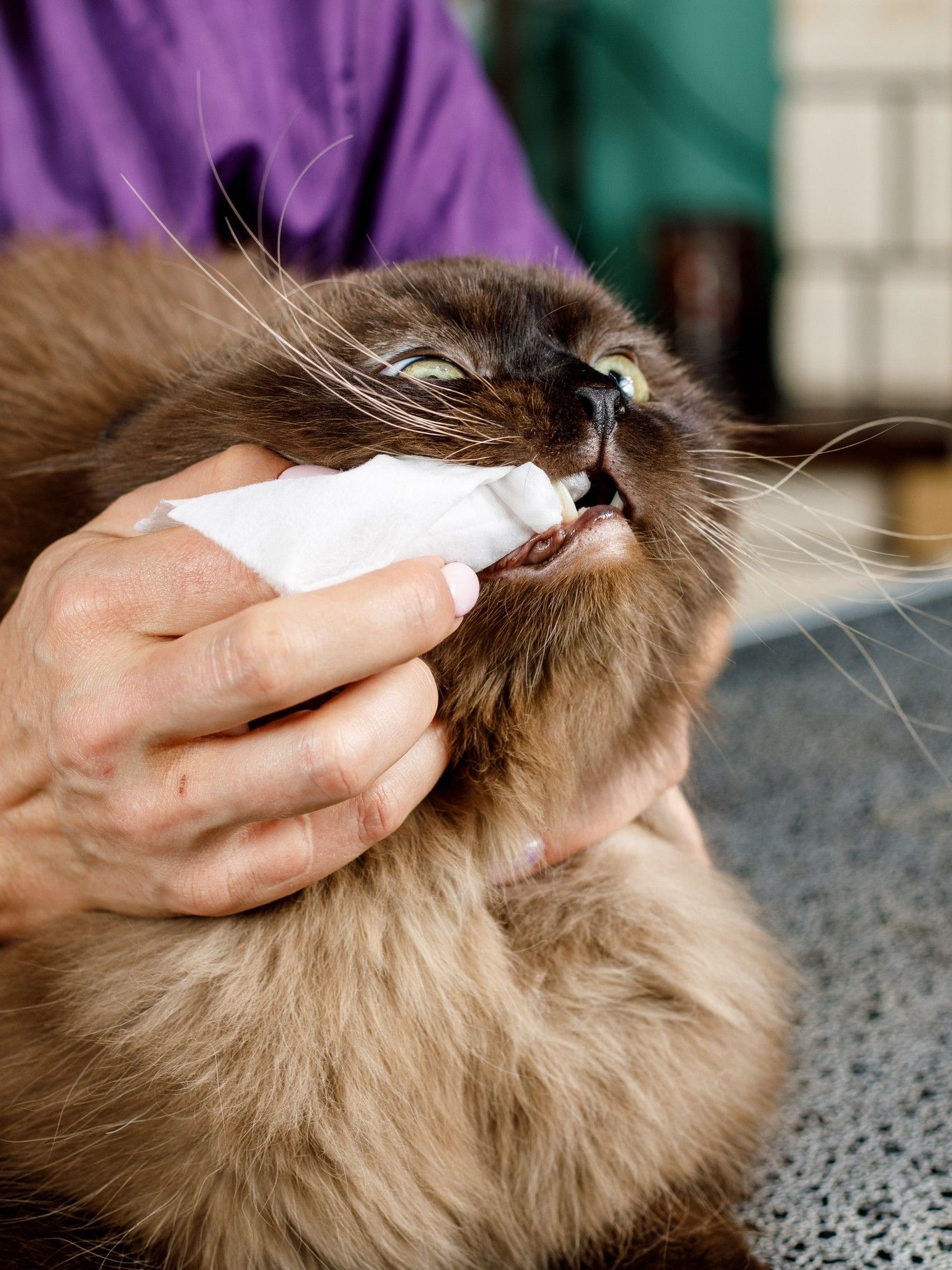 Produkt DHCD909105 Bild 9