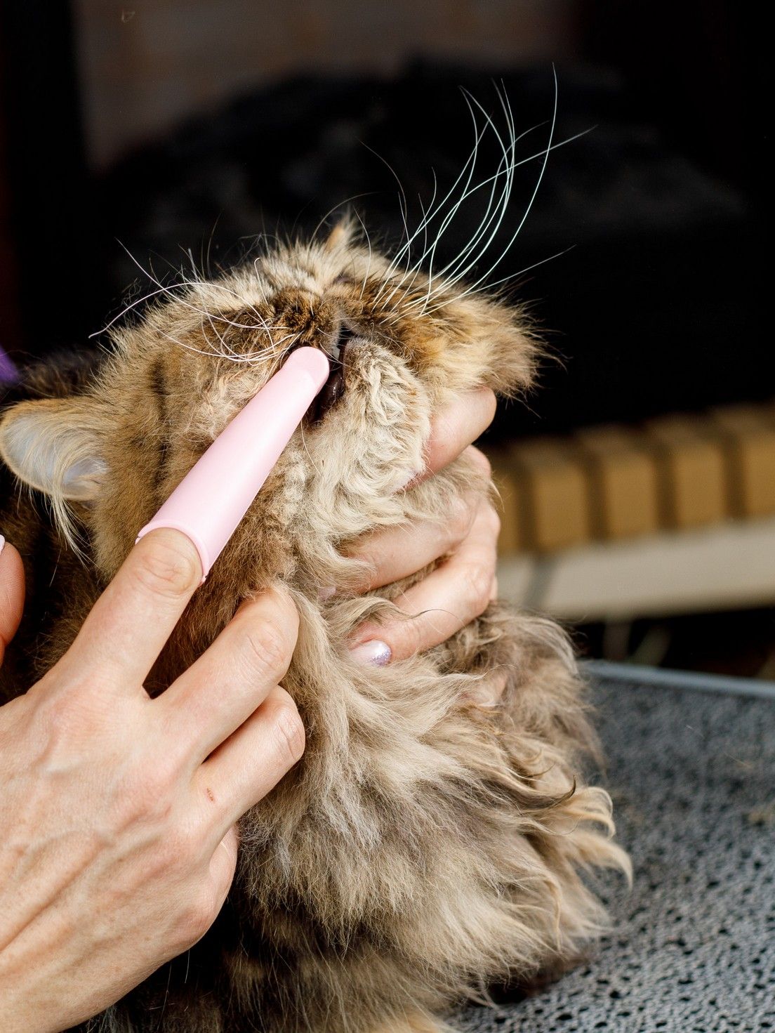 Product DHCT891301 photo 6