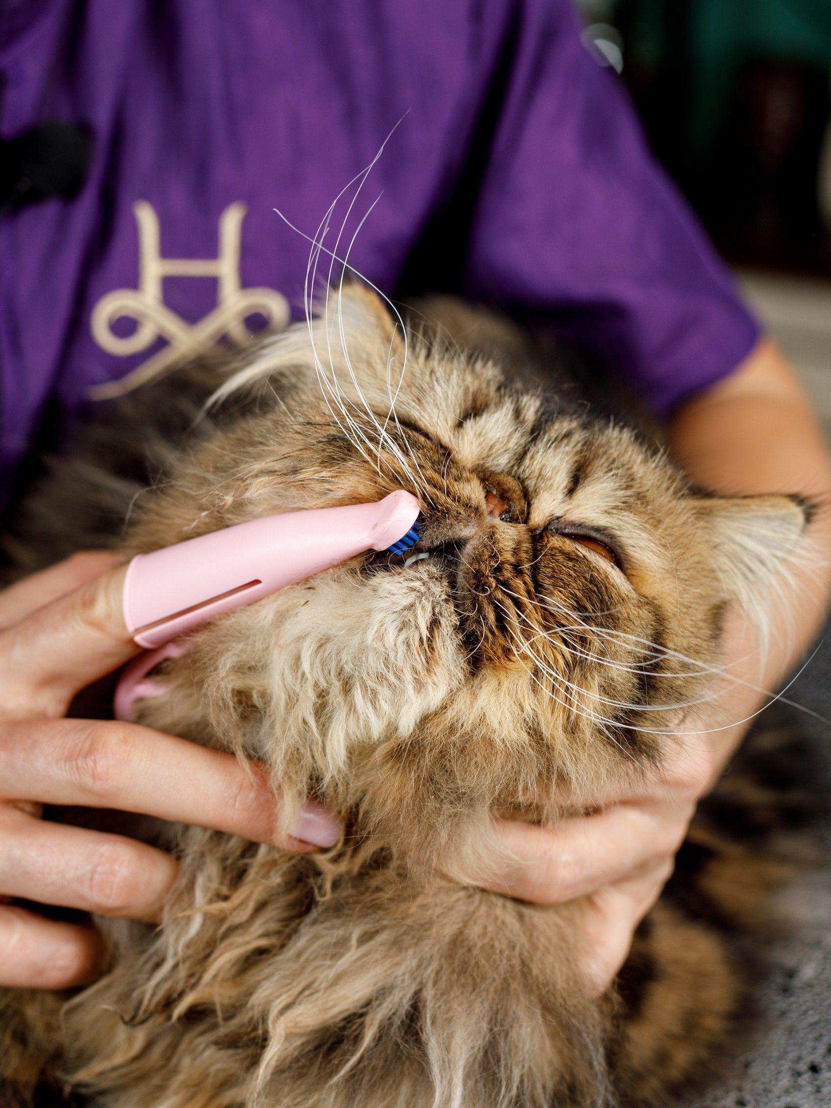 Product DHCT891301 photo 8