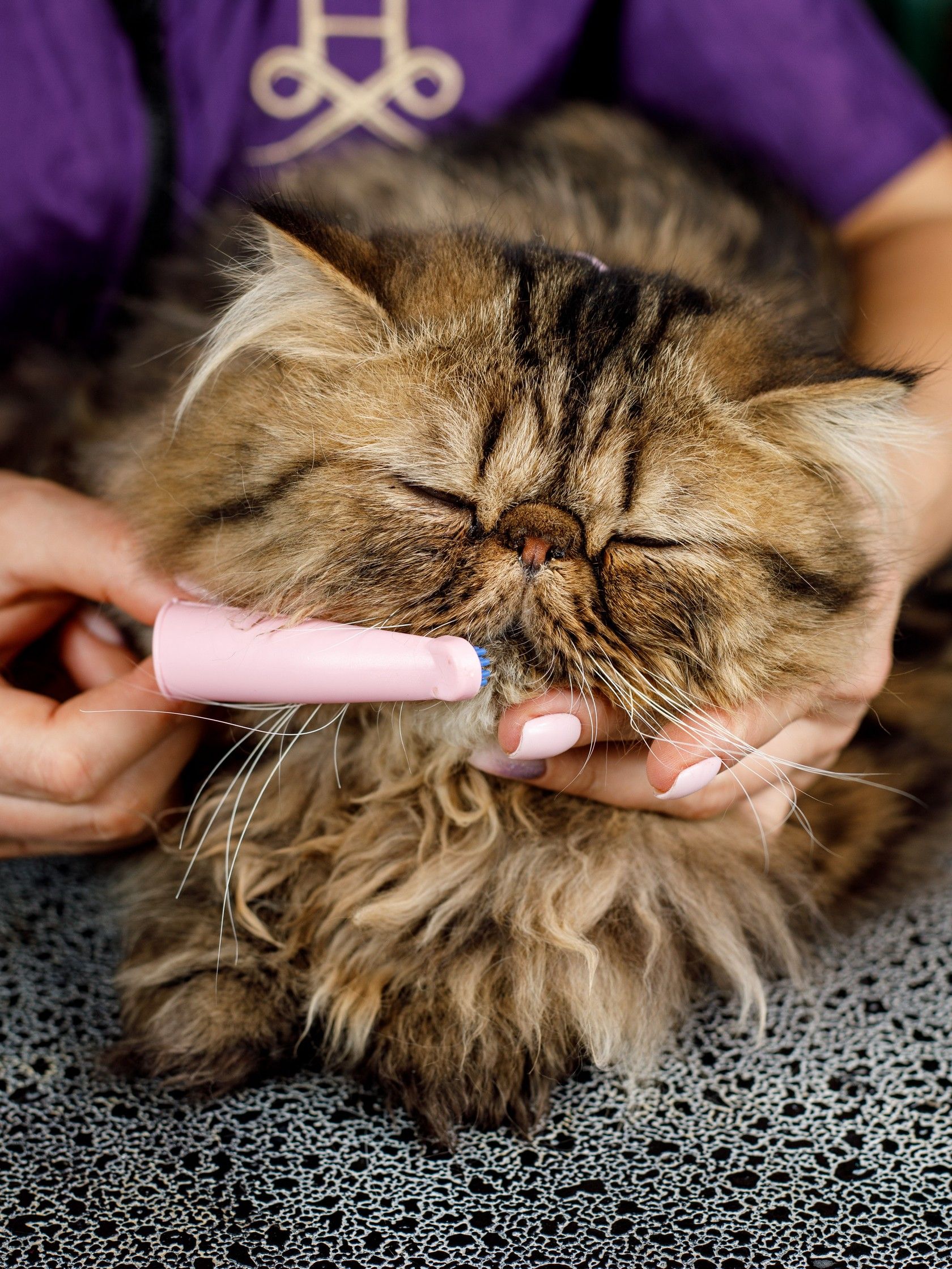 Product DHCT891301 photo 9