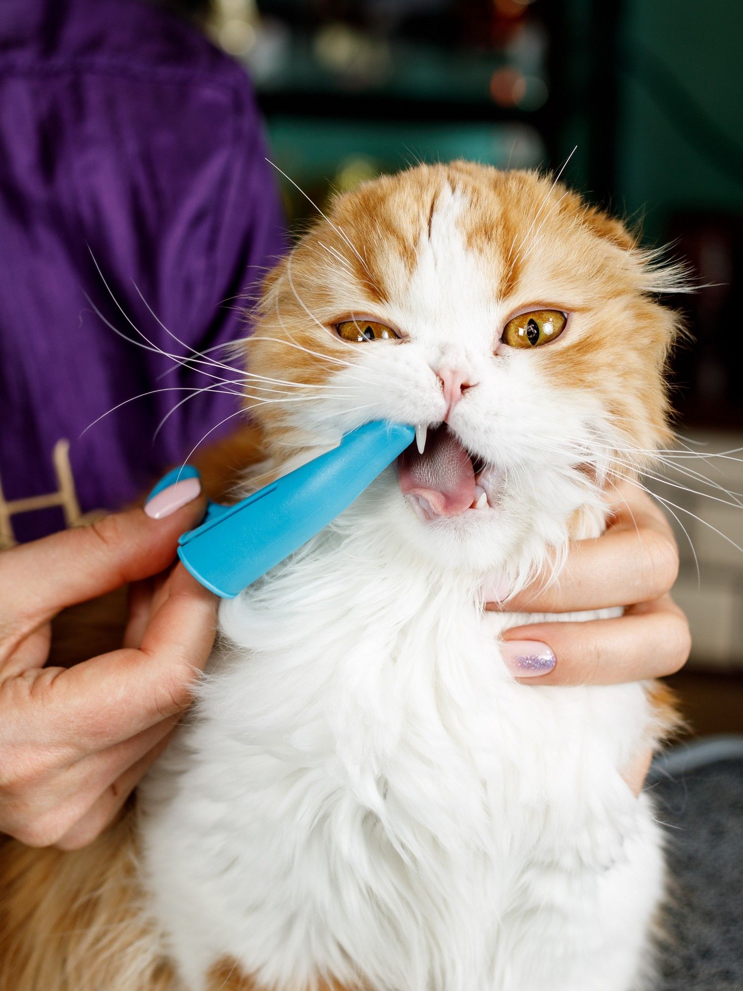 Produkt DHCT891400 Bild 10