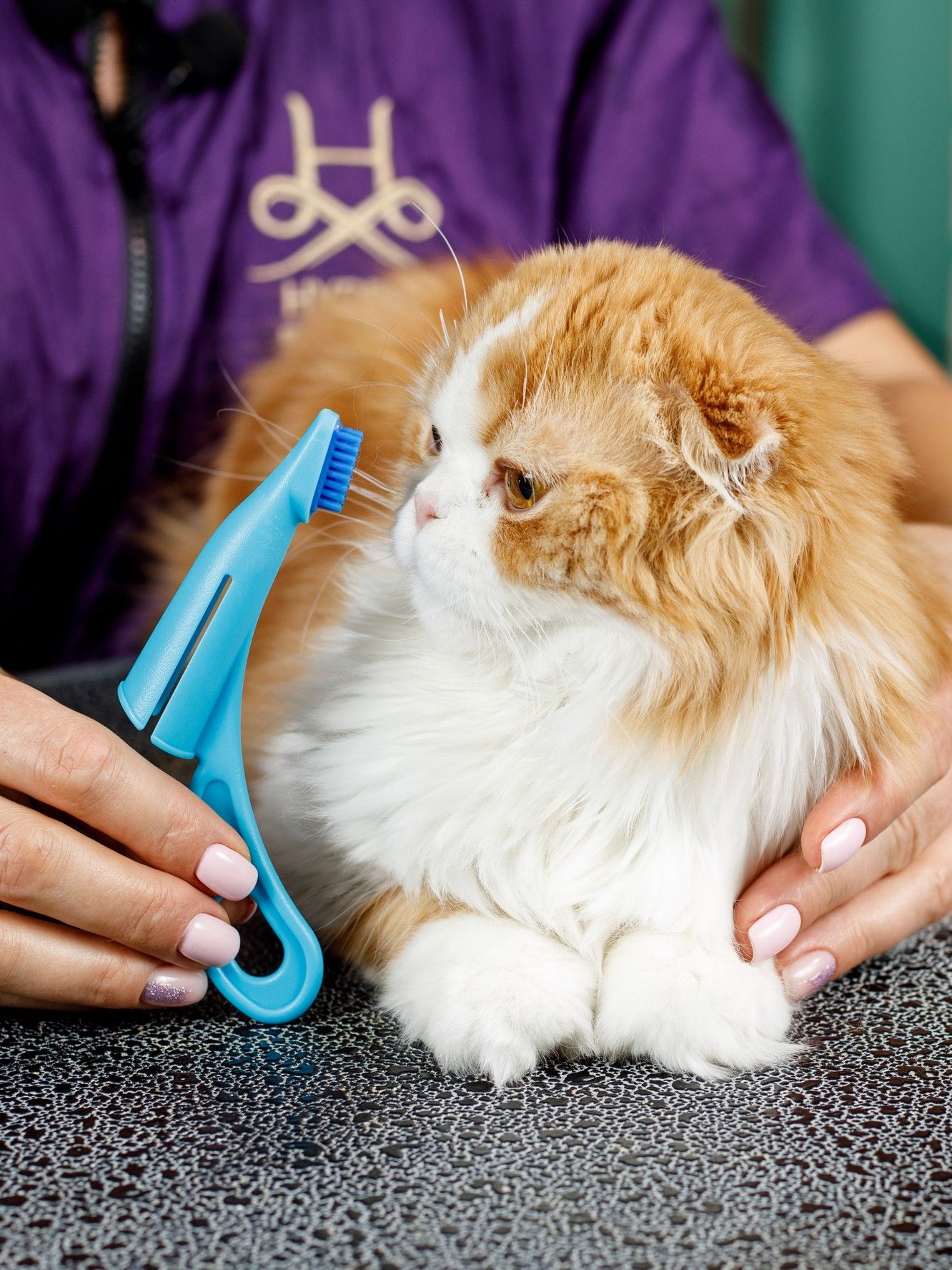 Produkt DHCT891400 Bild 11