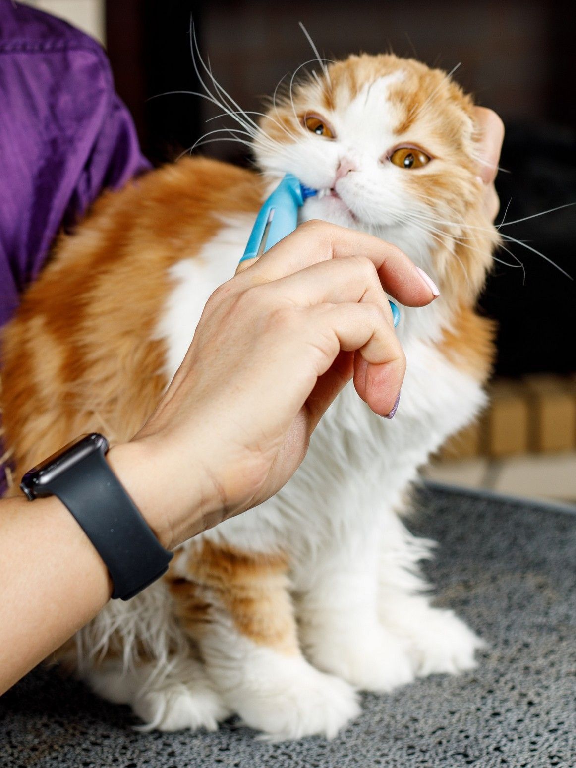 Produkt DHCT891400 Bild 7