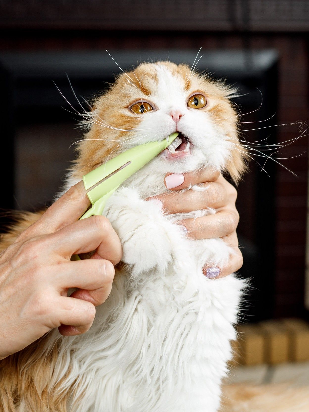 Produkt DHCT891509 Bild 11