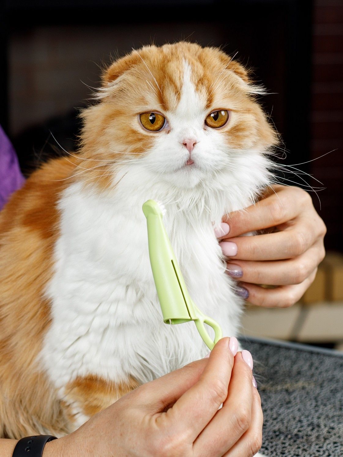 Produkt DHCT891509 Bild 12