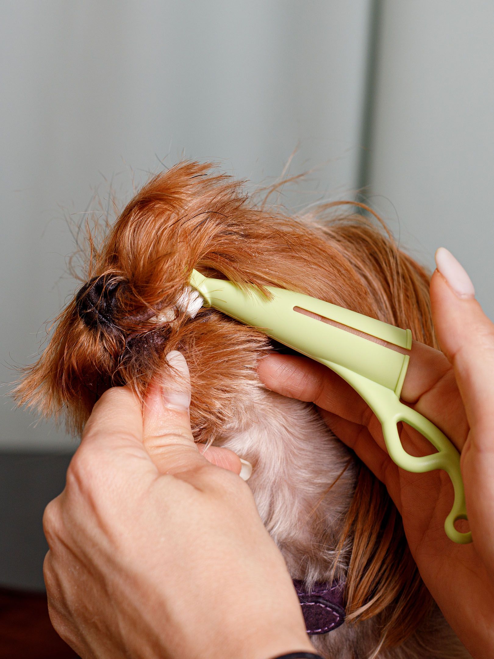 Produkt DHCT891509 Bild 5