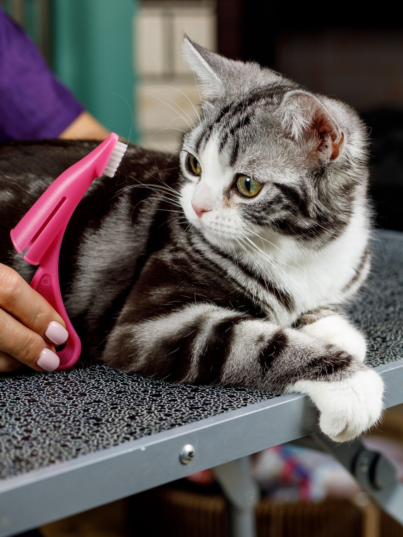 Produkt DHCT891608 Bild 10