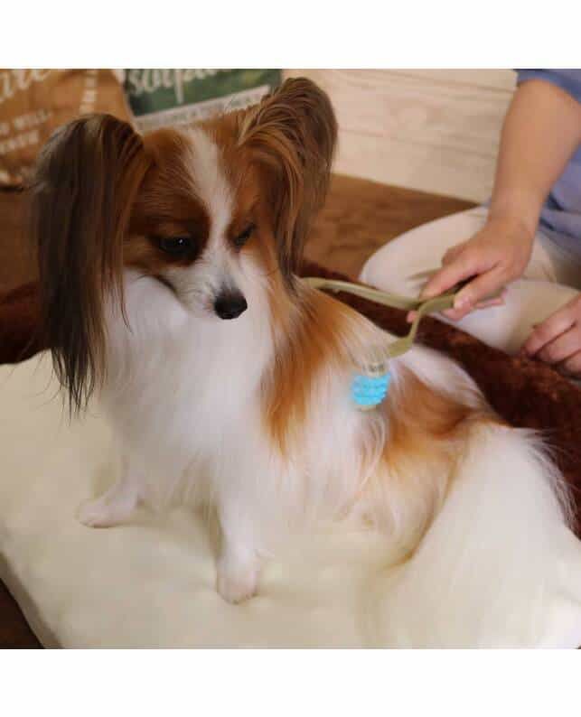 Produkt DRM0830811 Bild 6