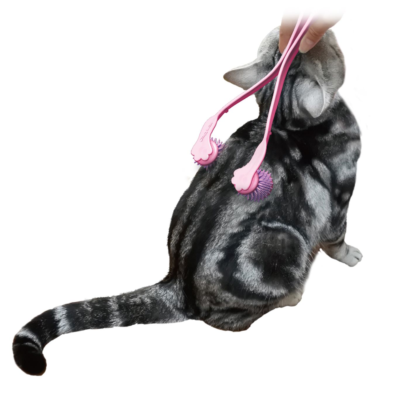 Produkt DRM0830873 Bild 3