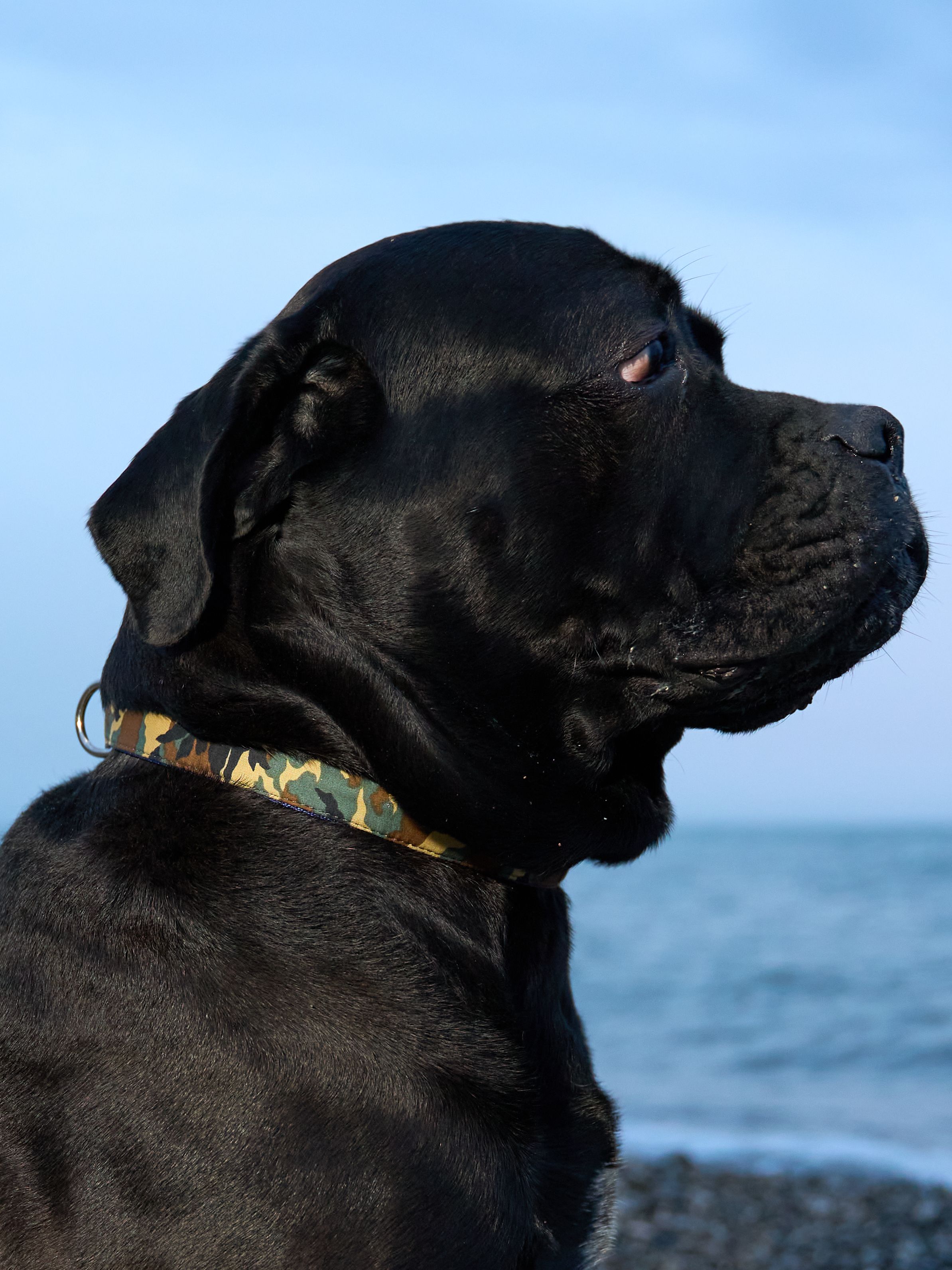 Produkt DSLC513024 Bild 13