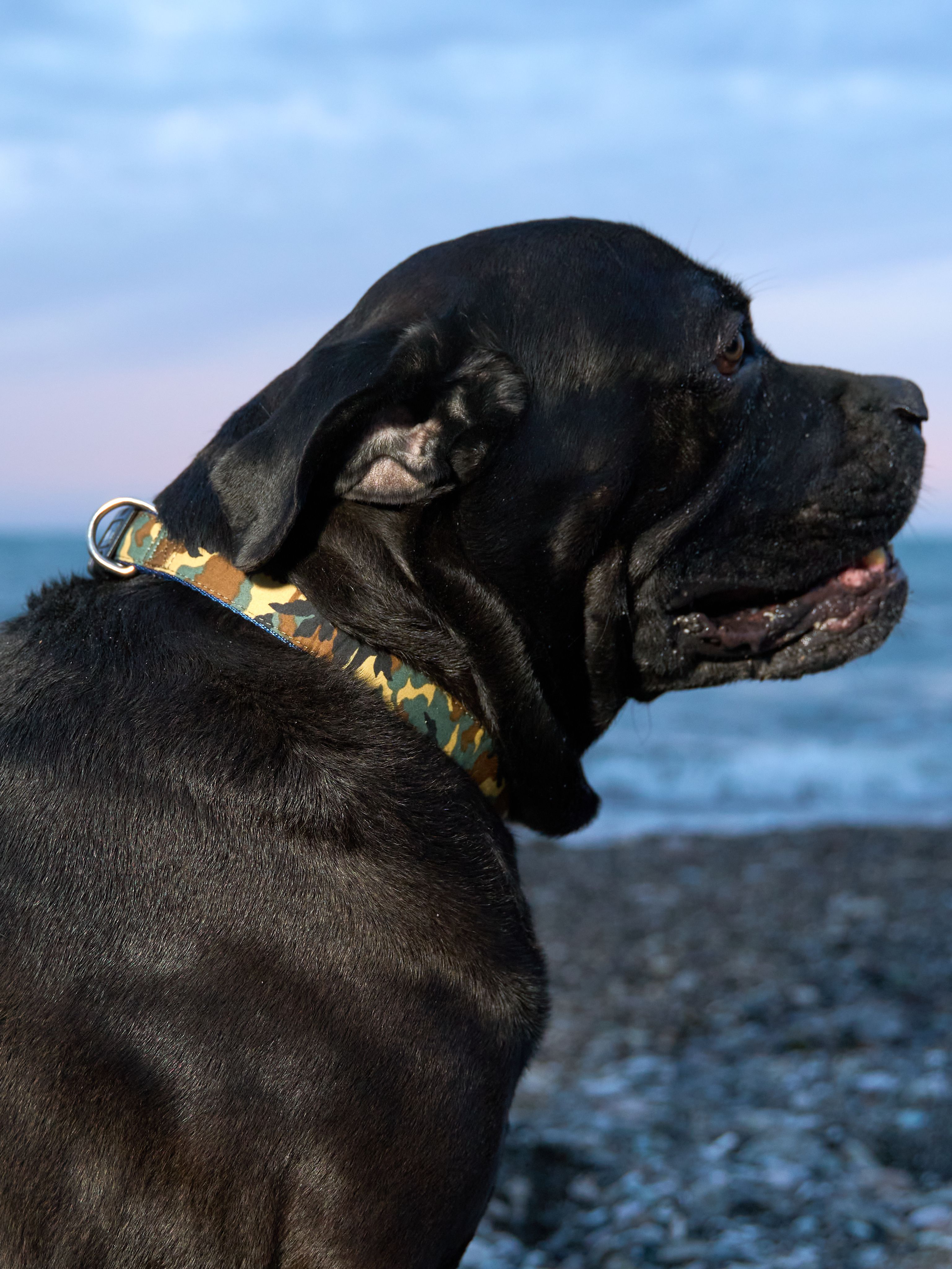 Produkt DSLC513024 Bild 3