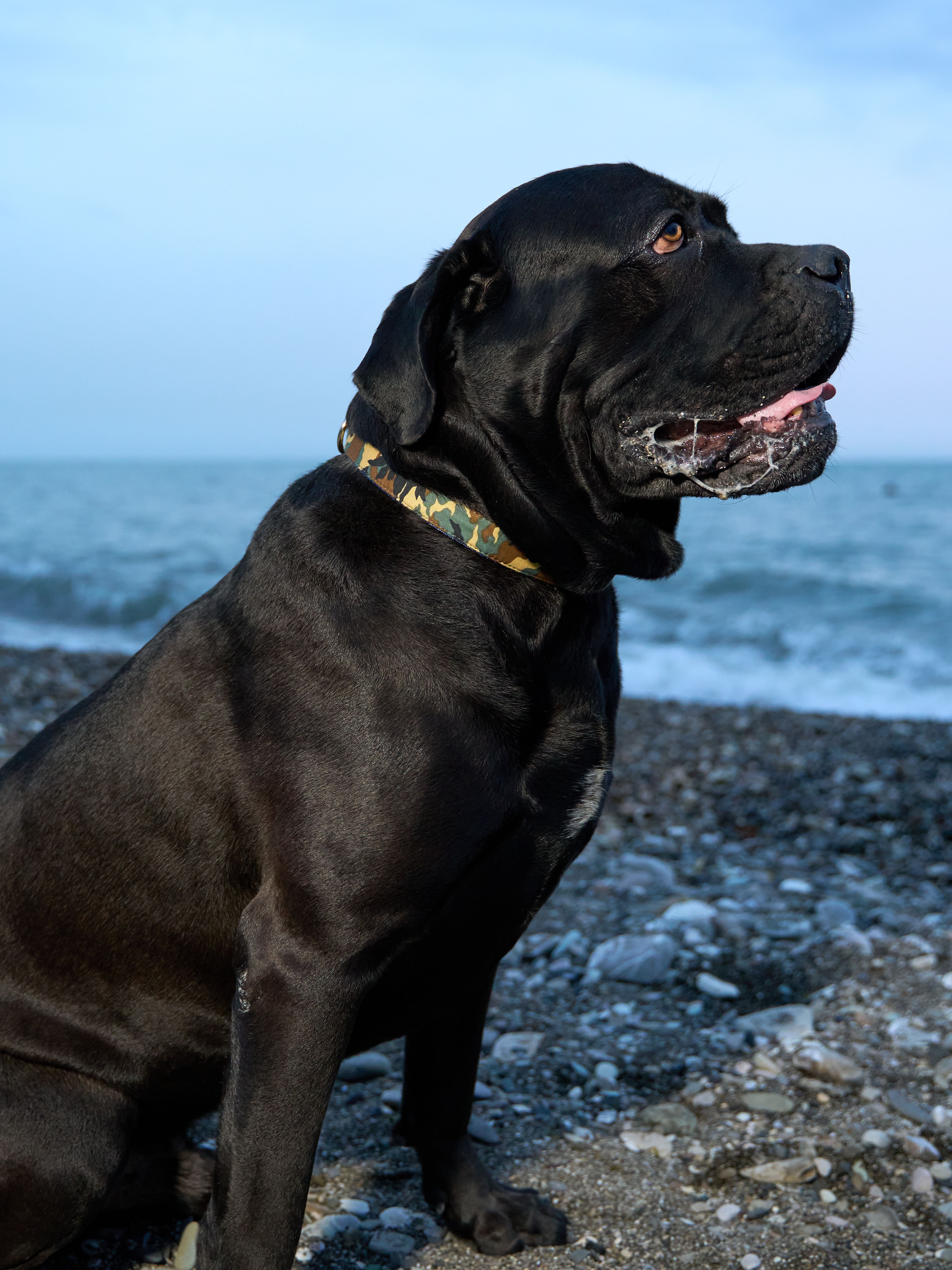 Produkt DSLC513024 Bild 6