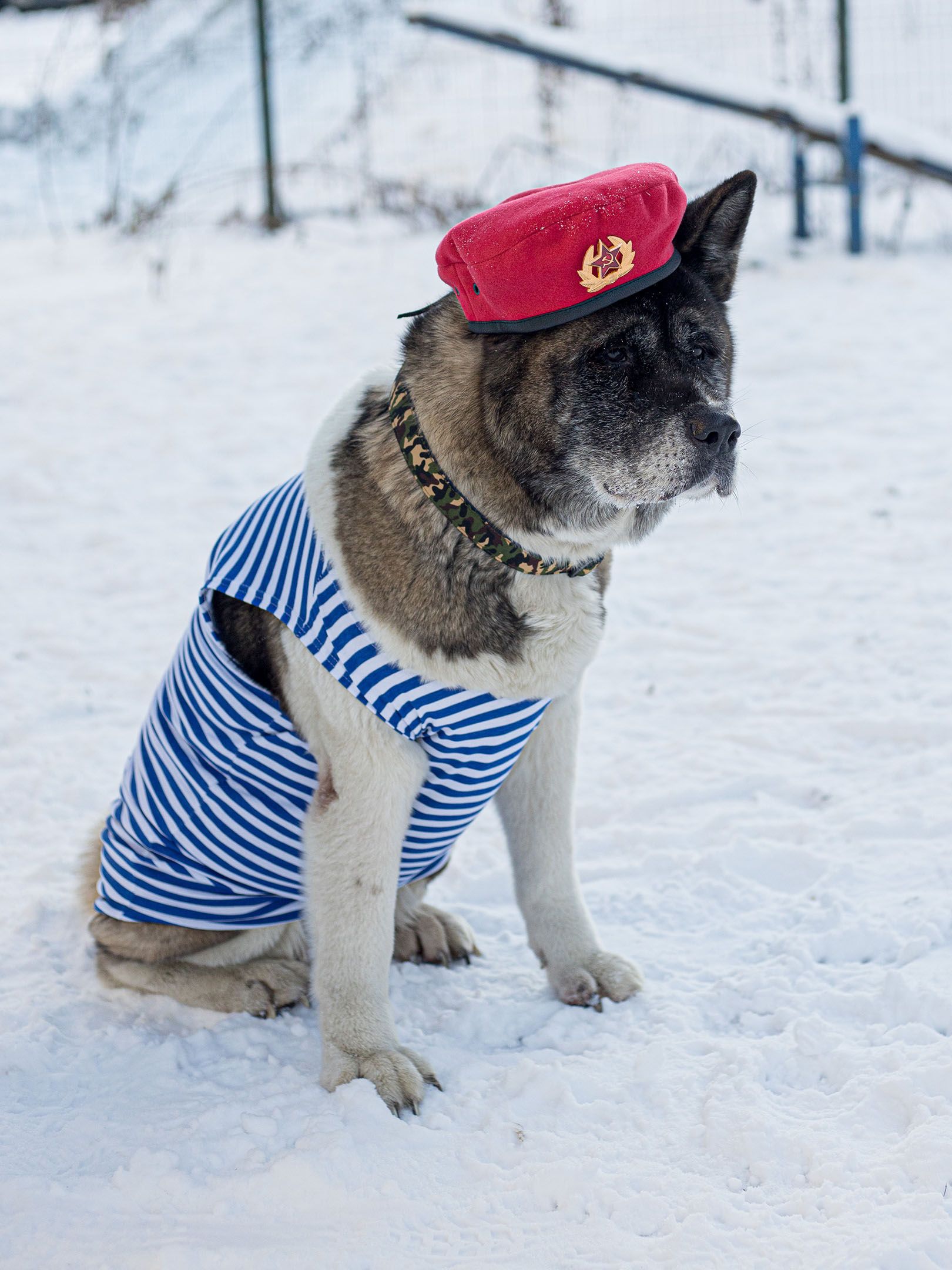 Produkt DSLC513024 Bild 7