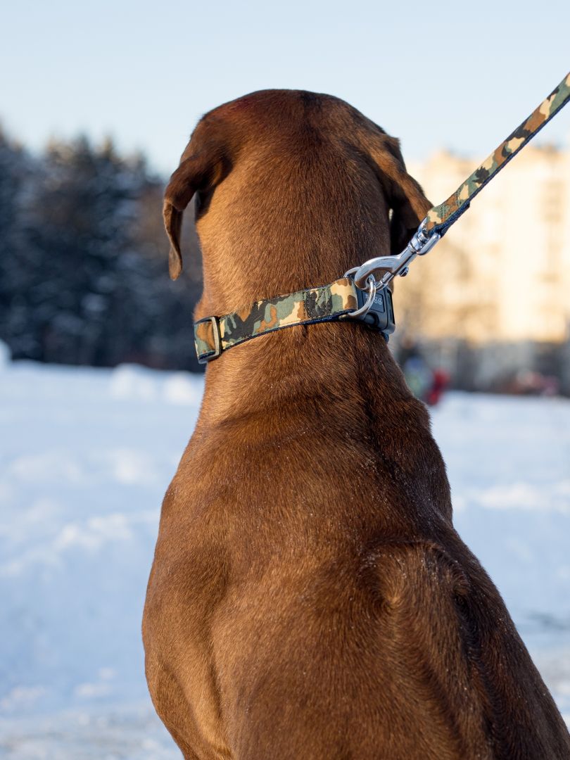 Produkt DSLC513062 Bild 2