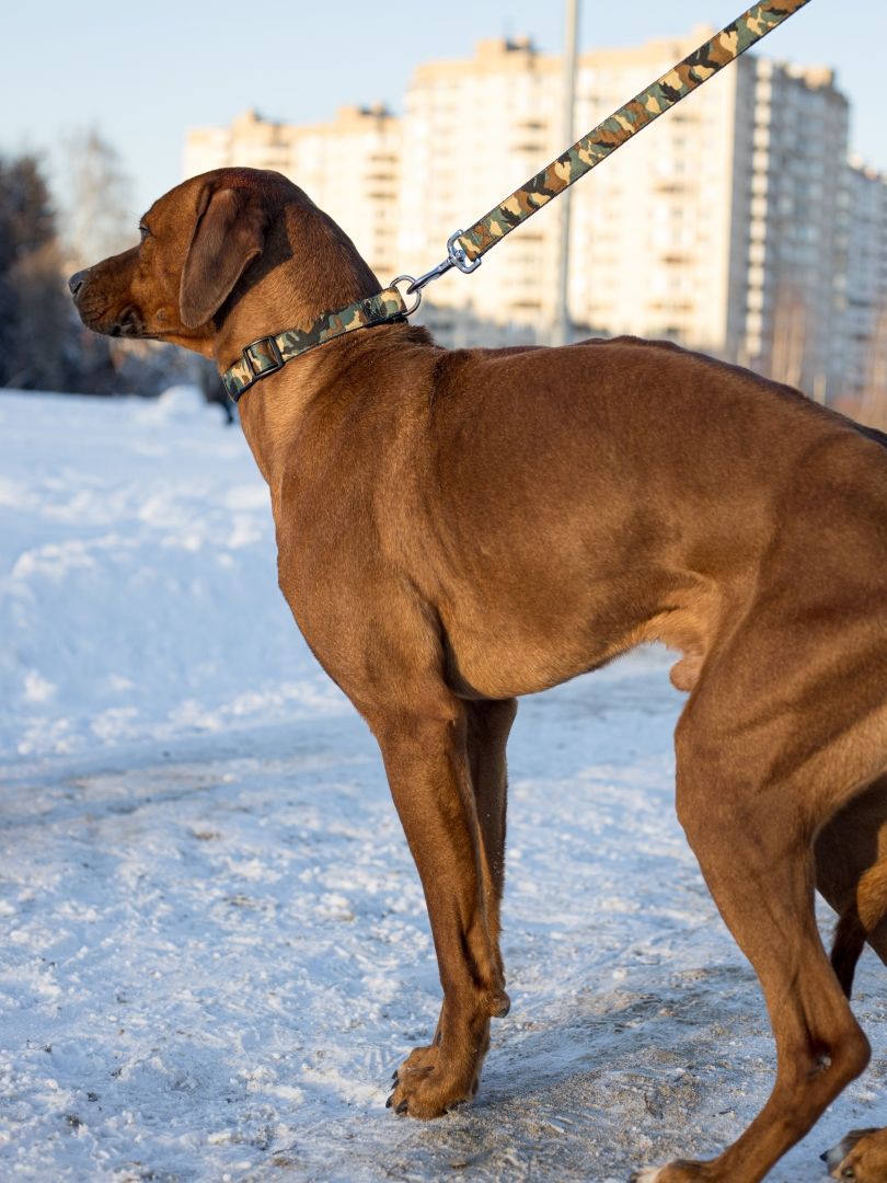 Produkt DSLC513062 Bild 4