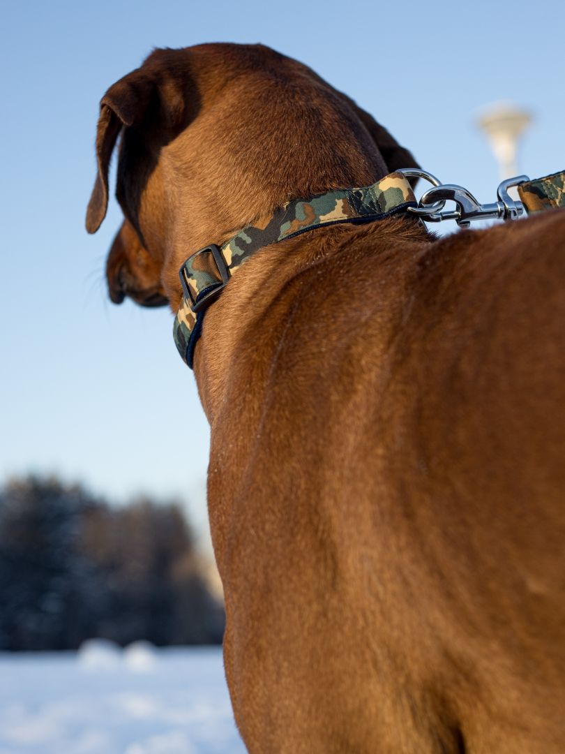 Produkt DSLC513062 Bild 5