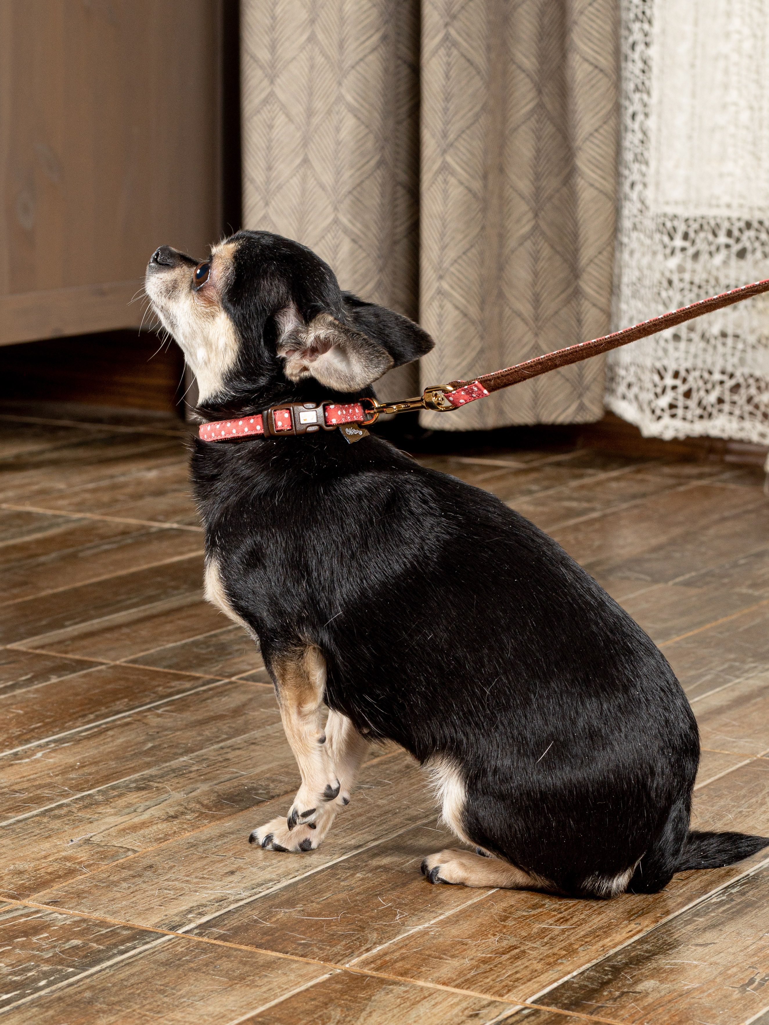 Produkt DSLC665528 Bild 10