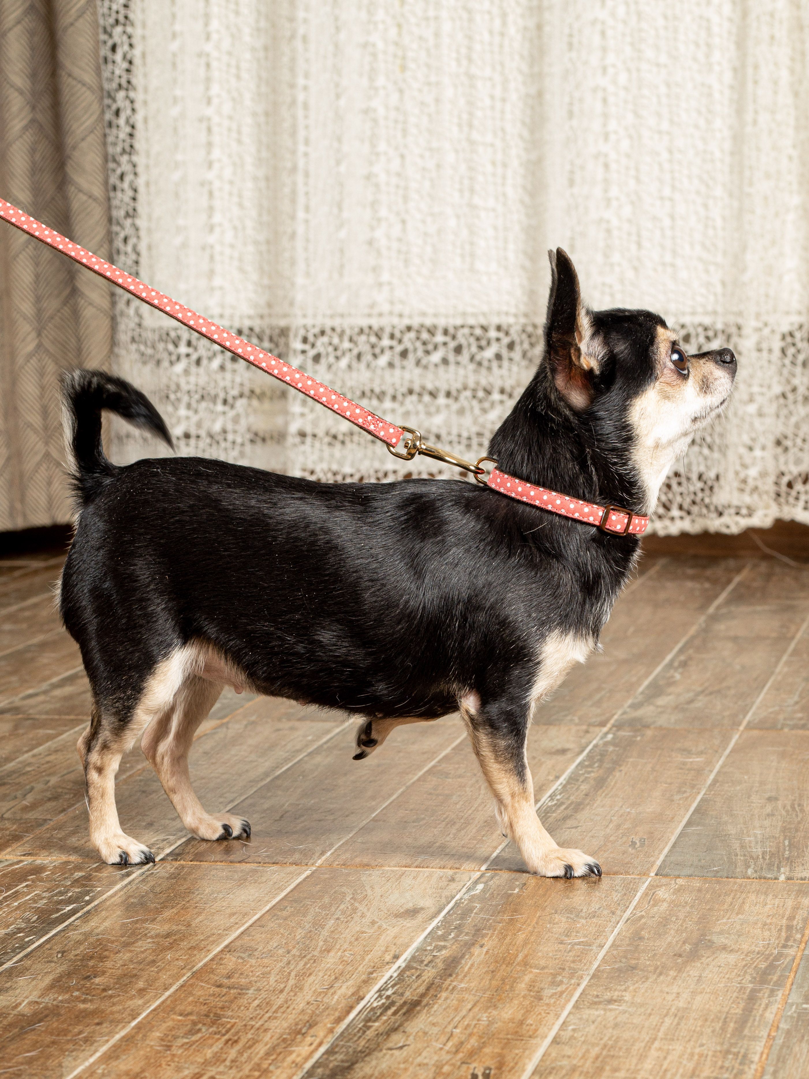 Produkt DSLC665528 Bild 12