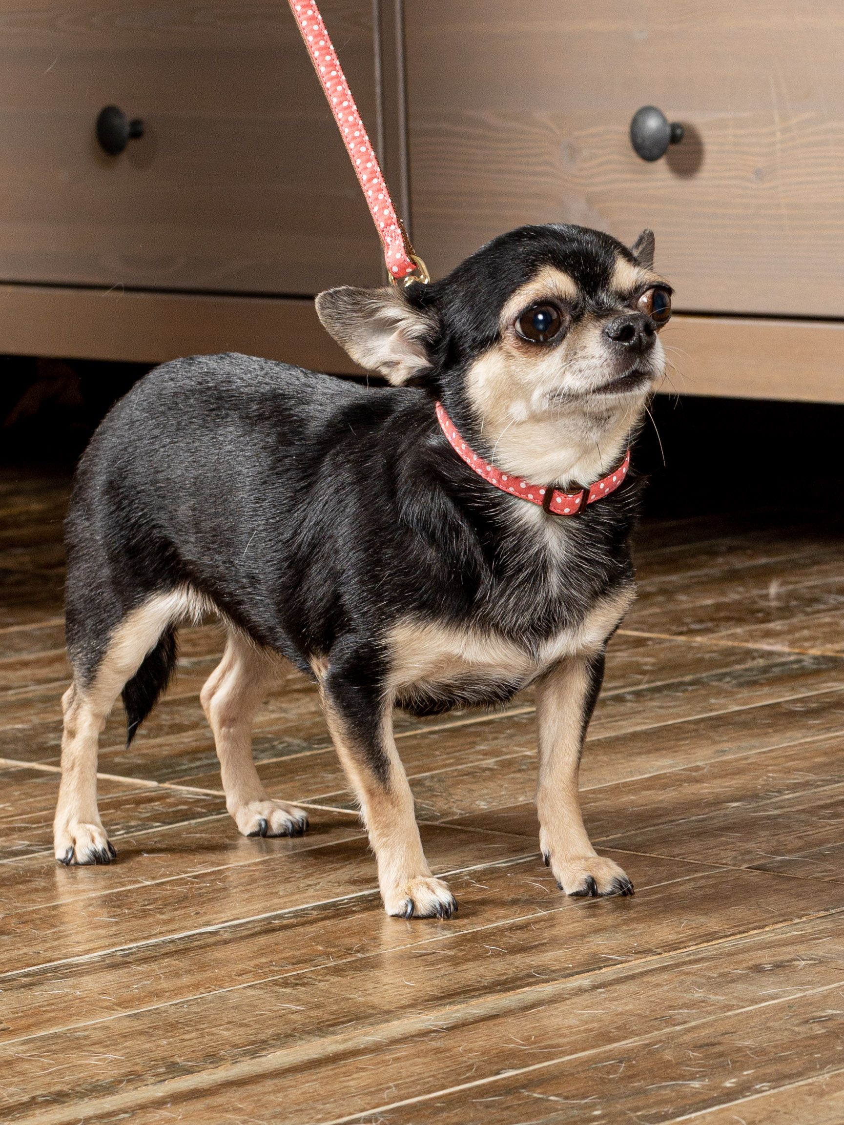 Produkt DSLC665528 Bild 3