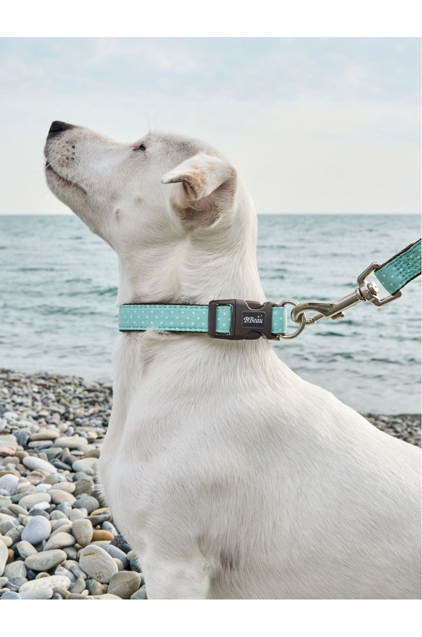 Produkt DSLC665535 Bild 10