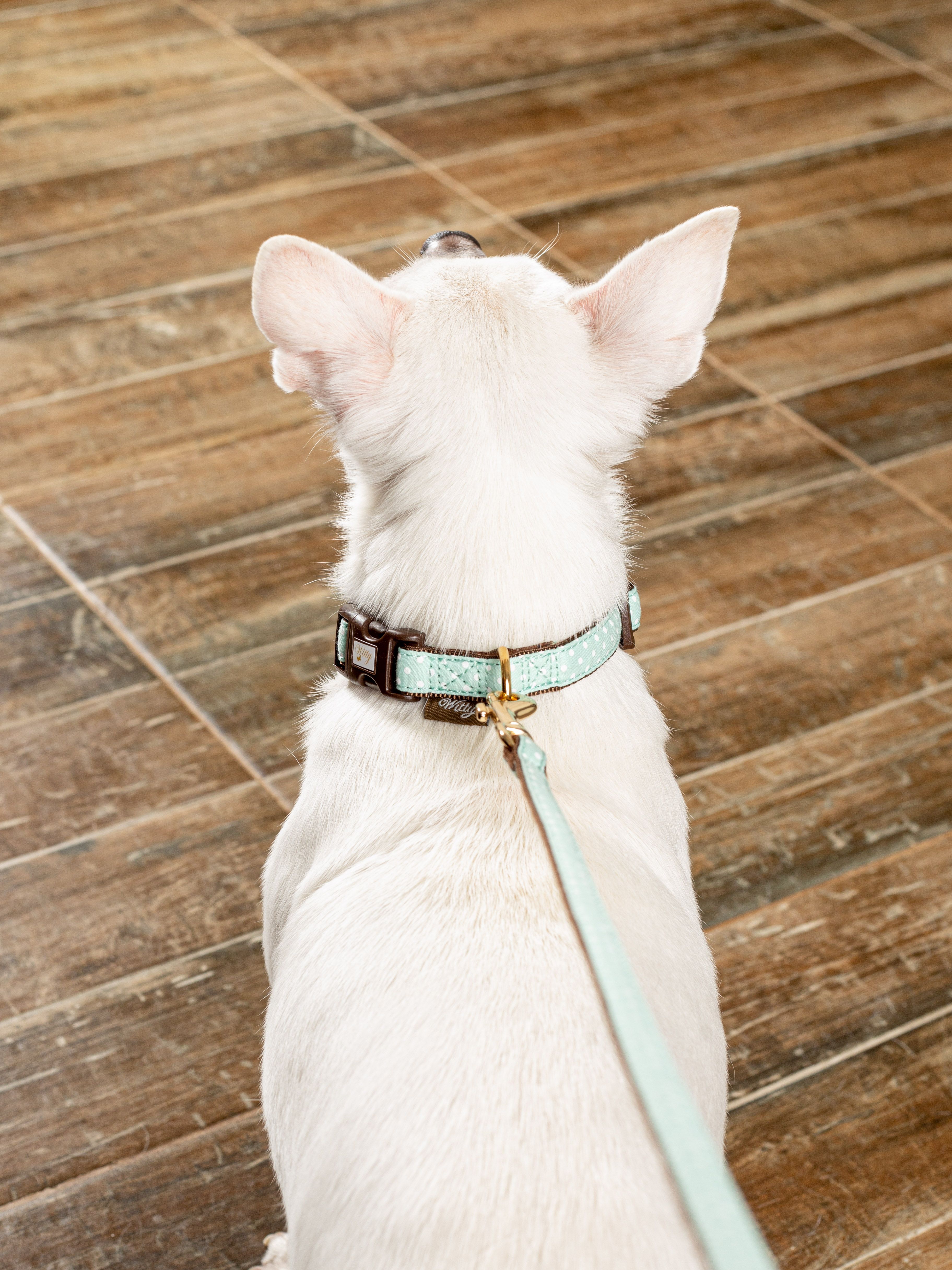 Produkt DSLC665535 Bild 7