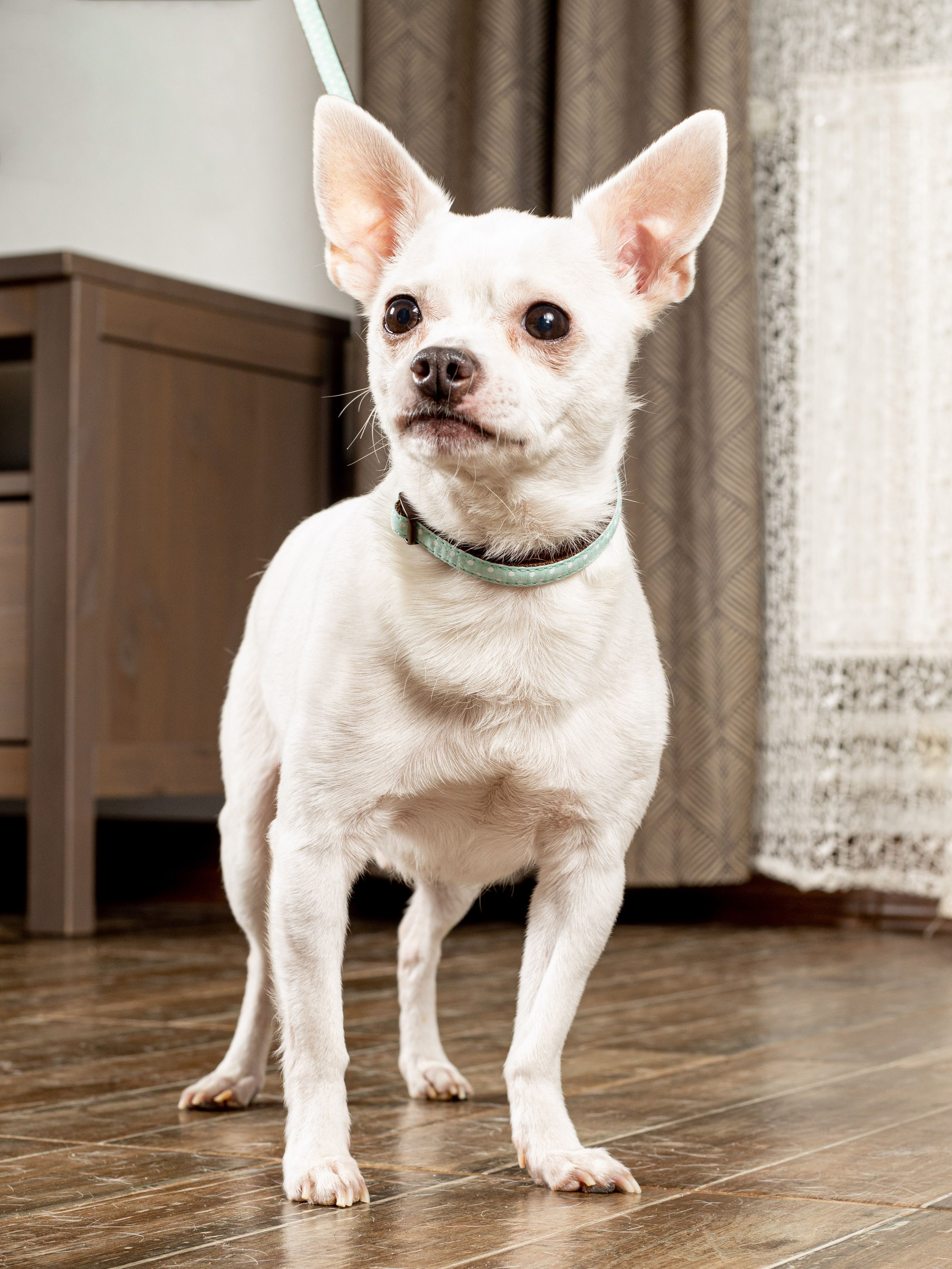 Produkt DSLC665559 Bild 5