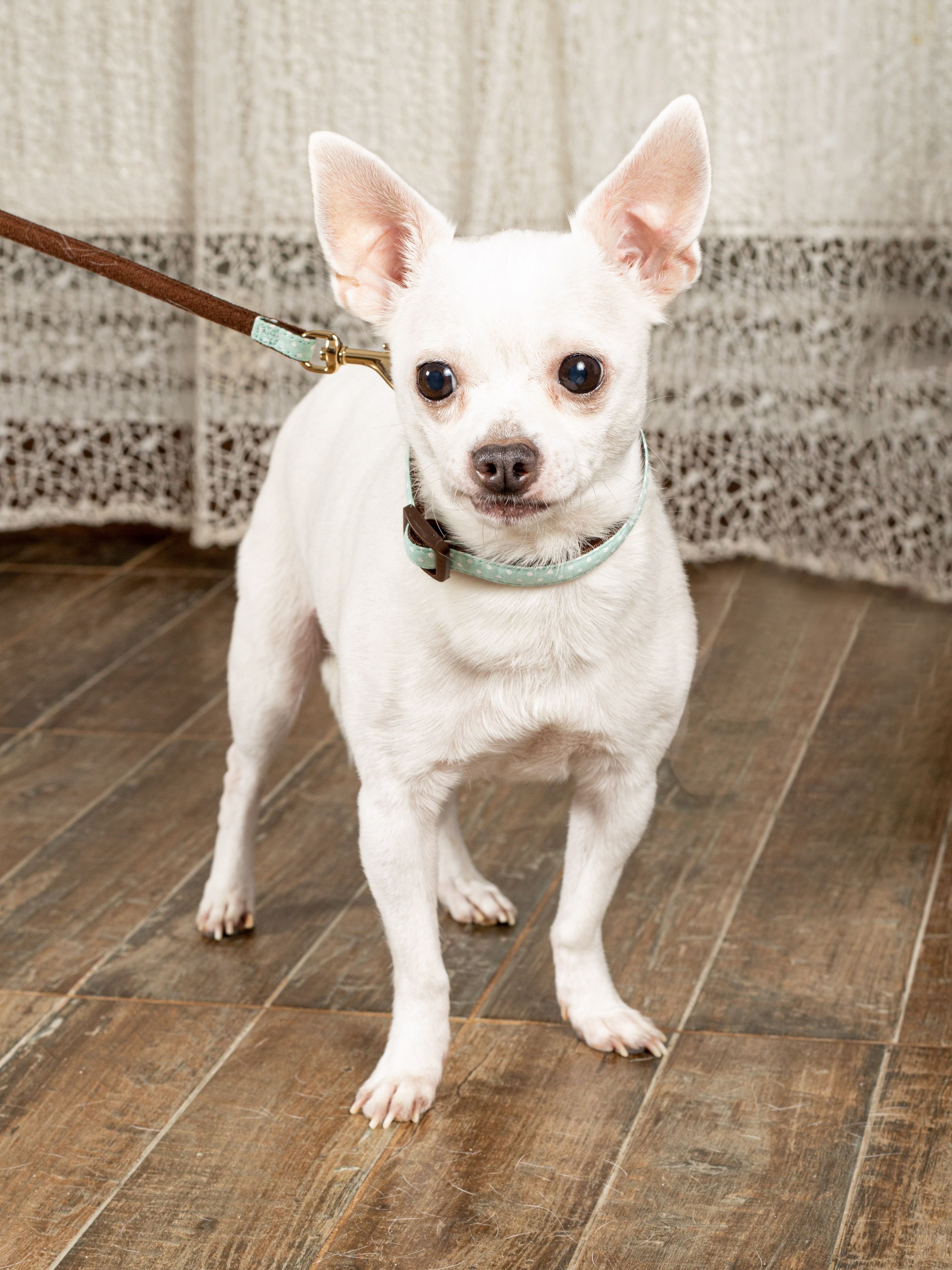 Produkt DSLC665559 Bild 8