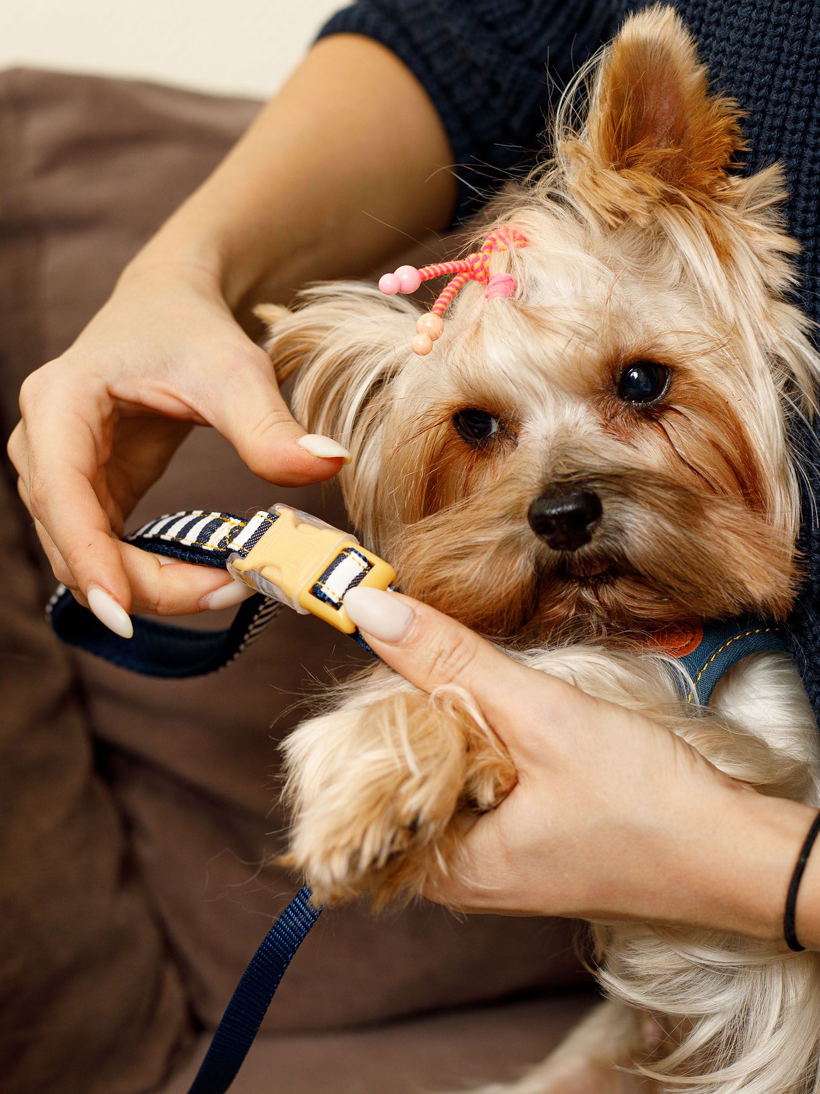 Produkt DSLC684222 Bild 10