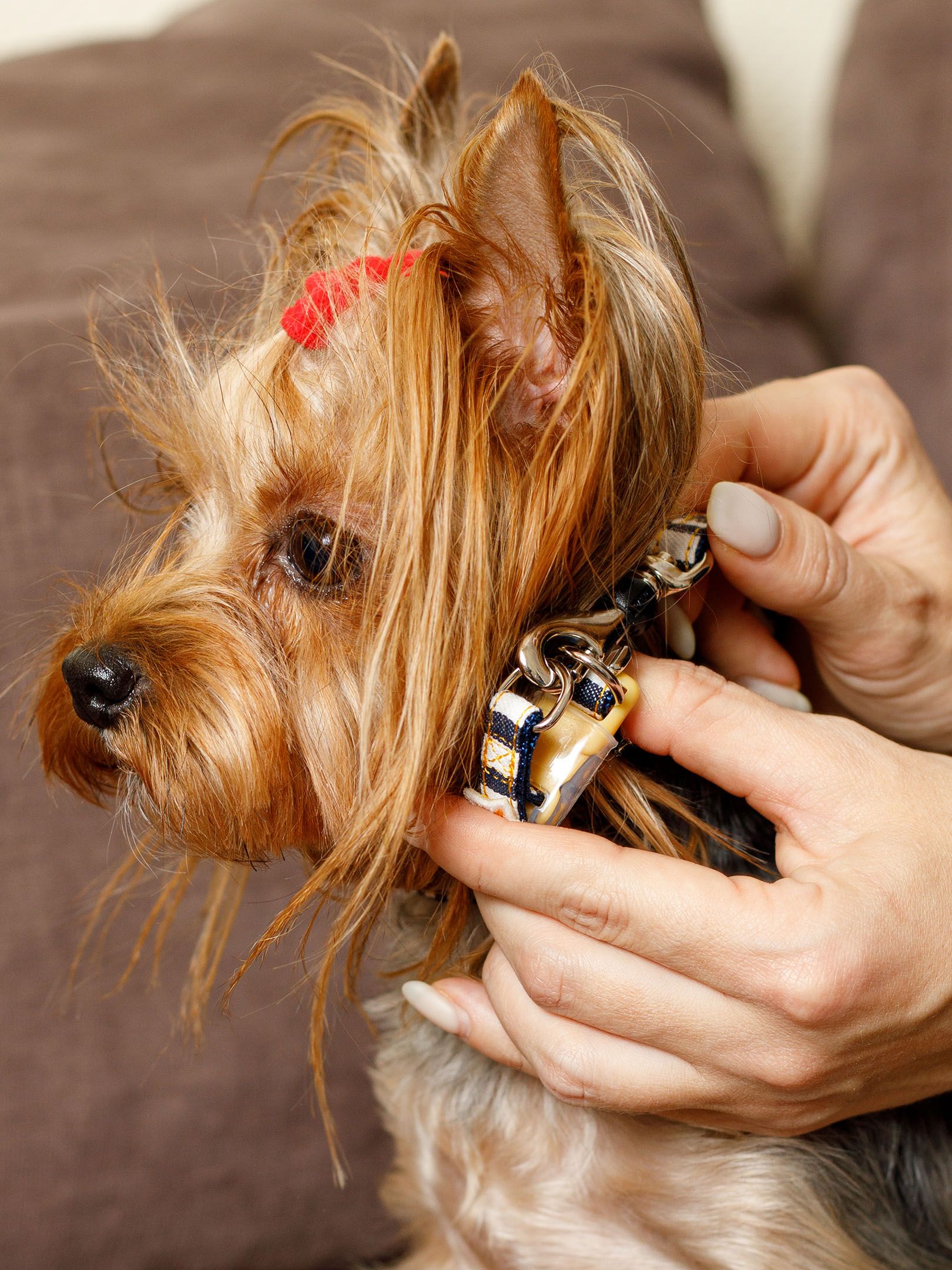 Produkt DSLC684222 Bild 6