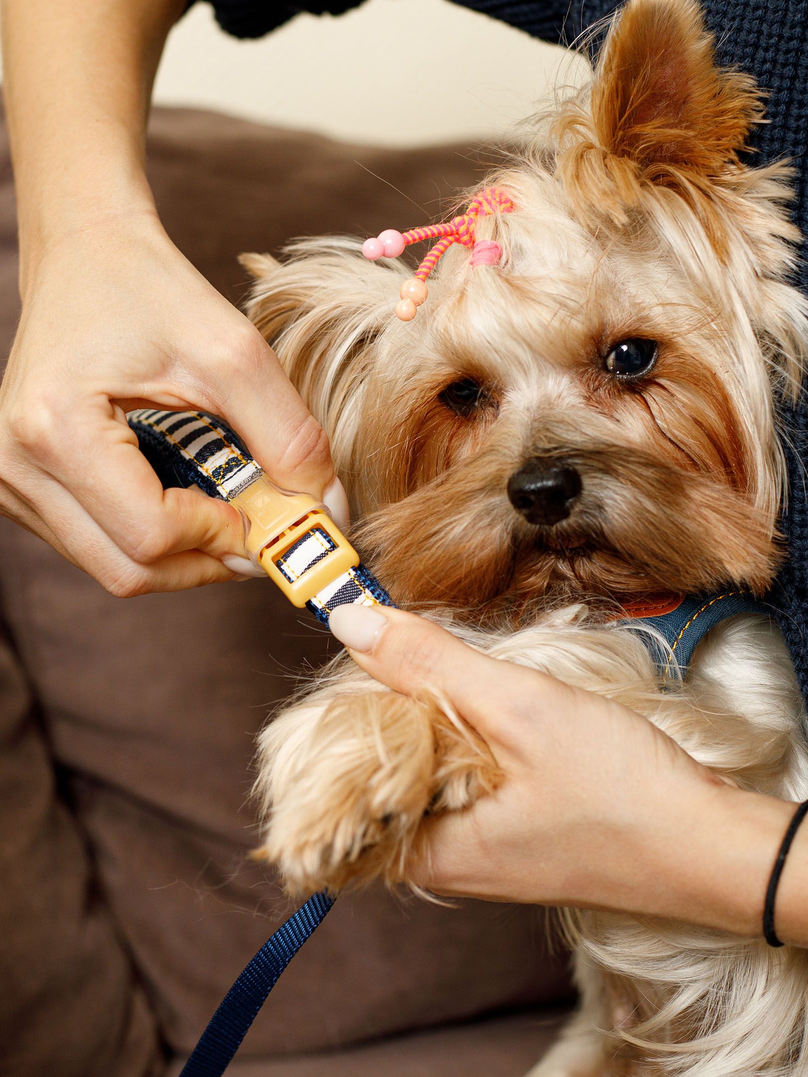 Produkt DSLC684246 Bild 10